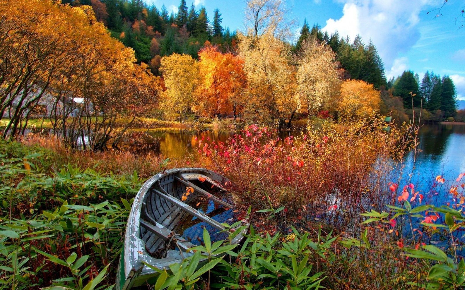 gray wooden boat photo of on body water lake 2k