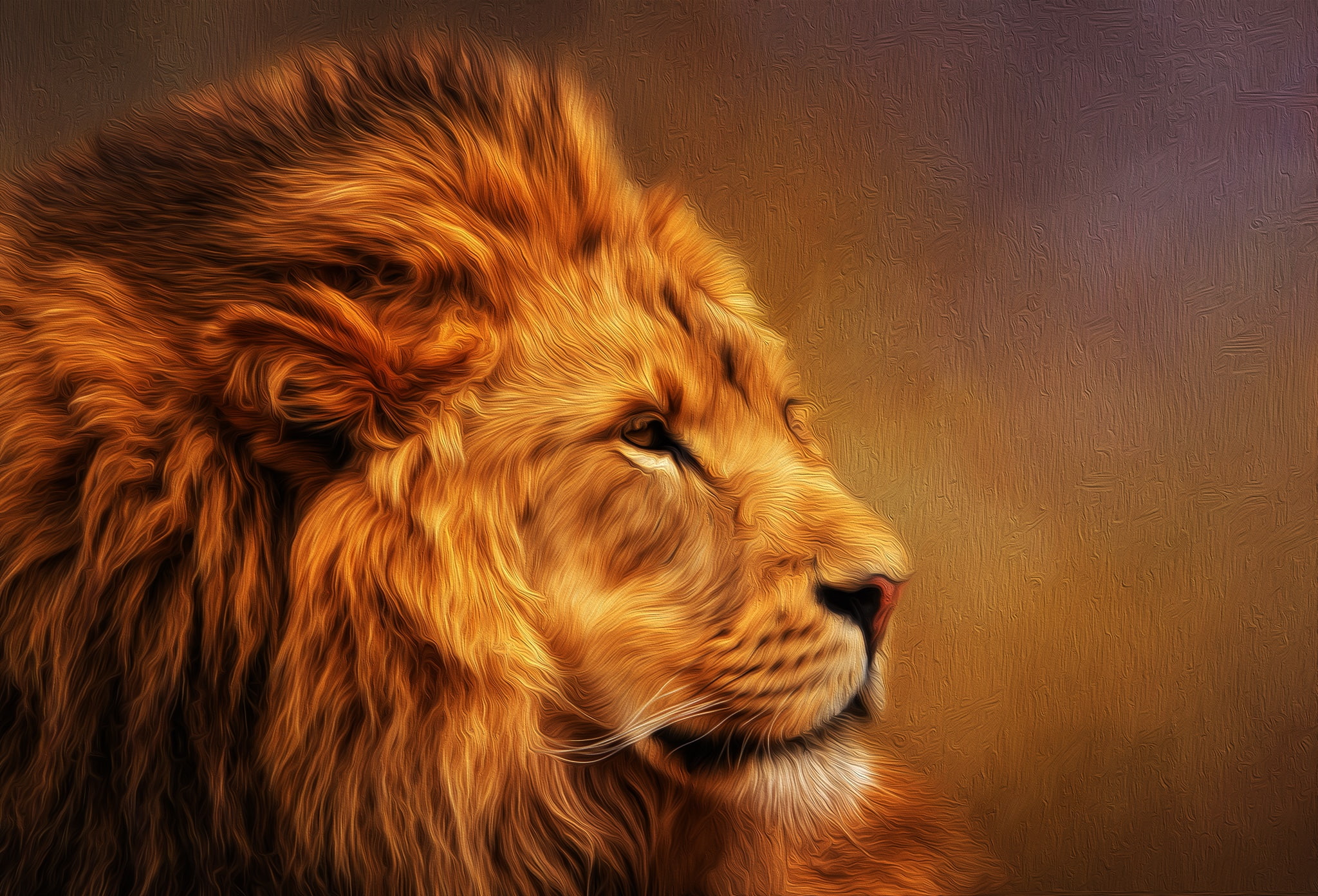 lion animals big cats nature king 2k