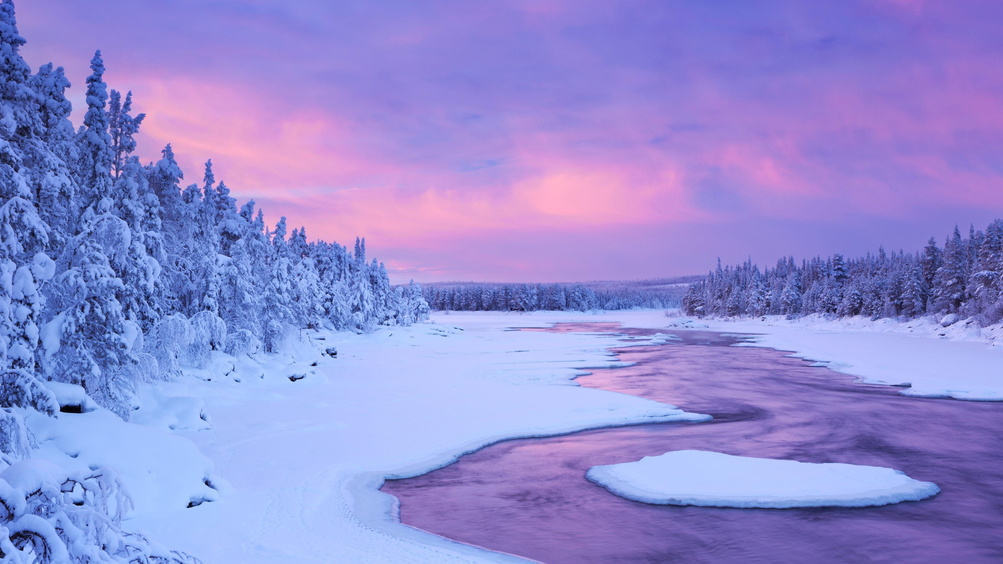 morning lapland europe tundra finland tree ice river 2k 4k