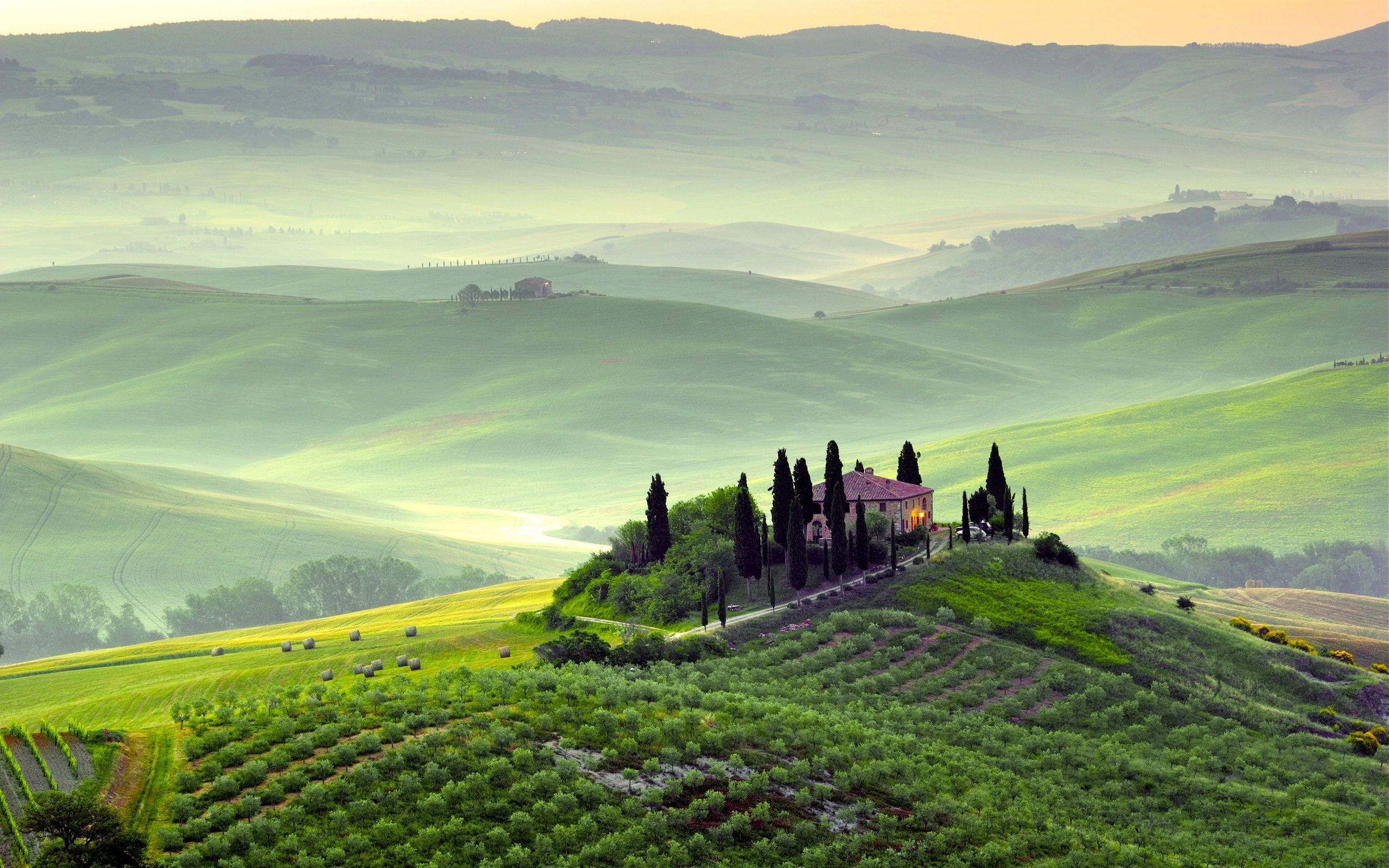 Pienza Tuscany Italy spring scenery fields trees morning fog green 2k