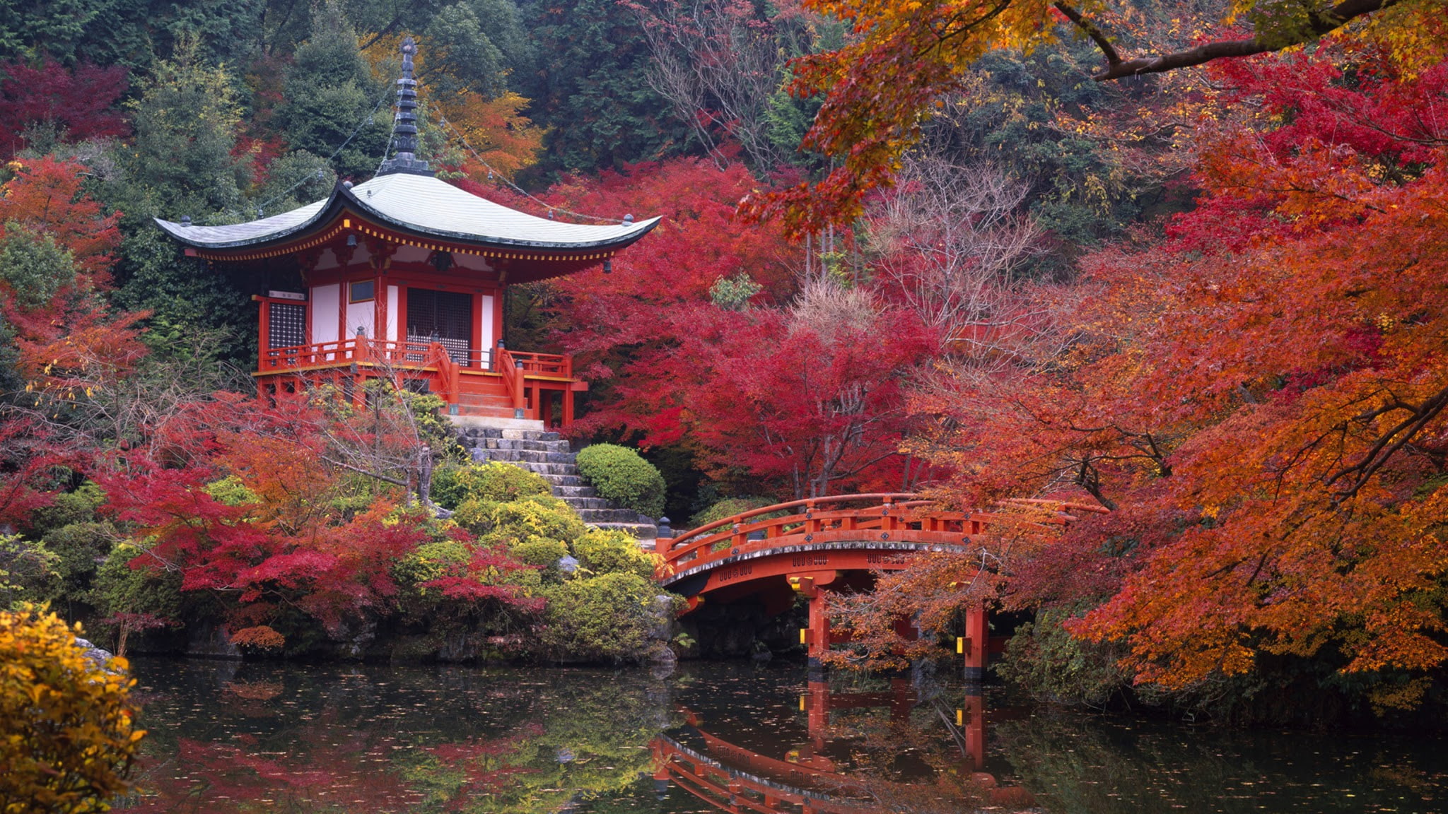 Temples Daigo ji Bridge Building Fall Japan Japanese Garden 2k
