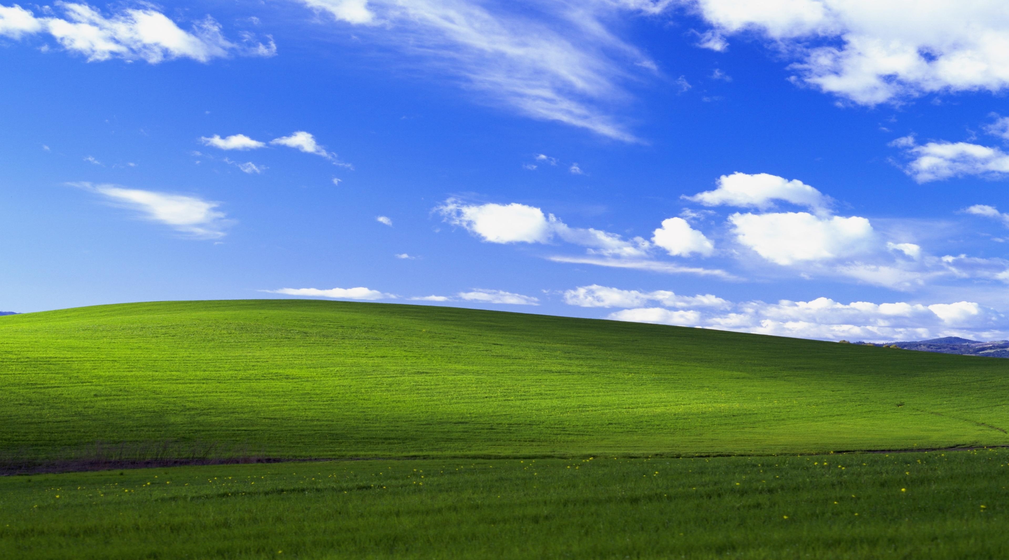 Windows XP Original green grass field digital wallpaper Vista 2k 4k