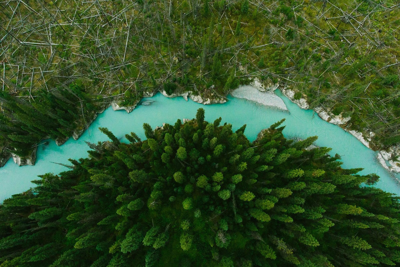 green grass field nature landscape drone aerial view trees 2k