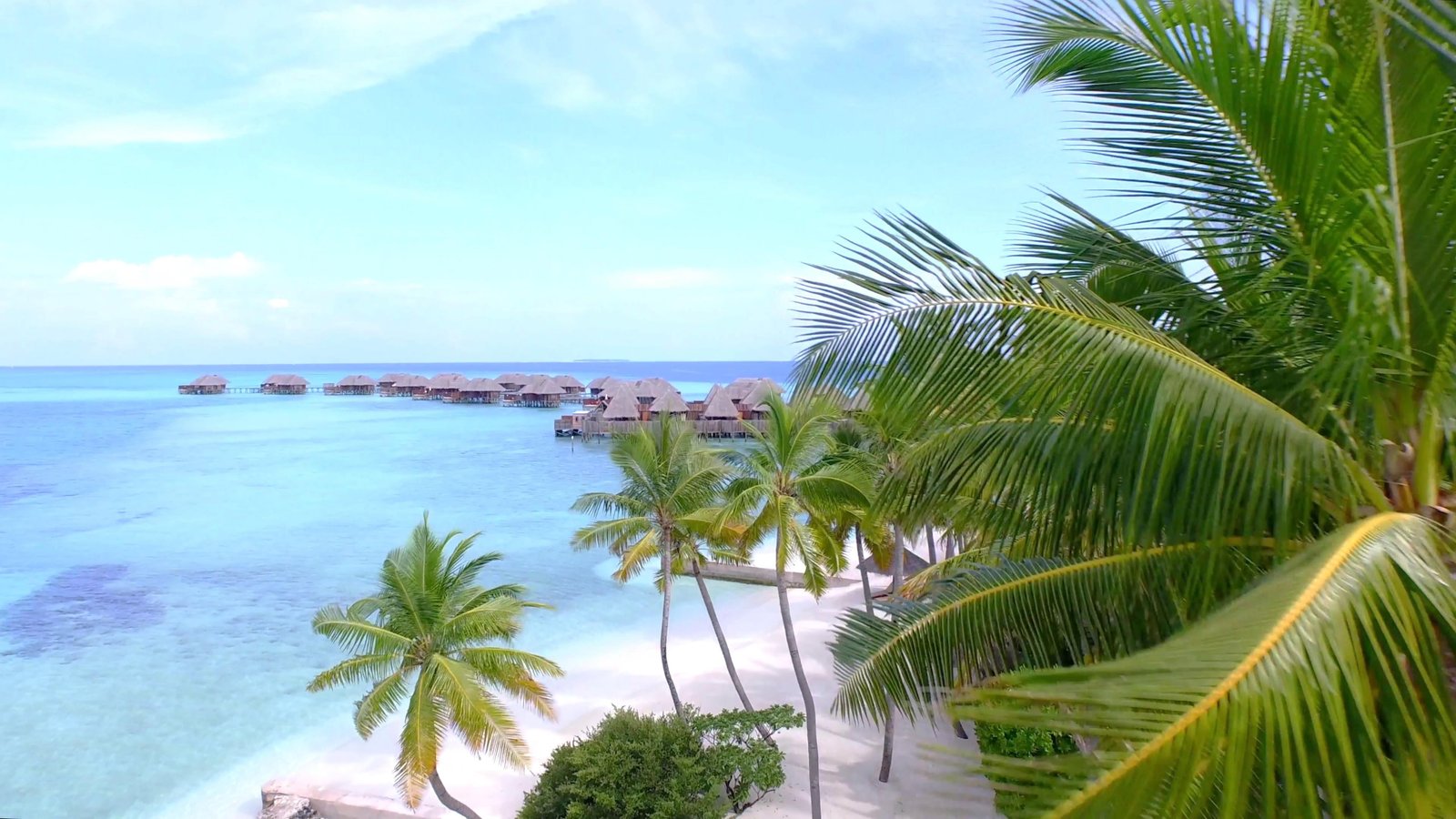 palm philippines white sand aerial bay tourism beach 2k 4k