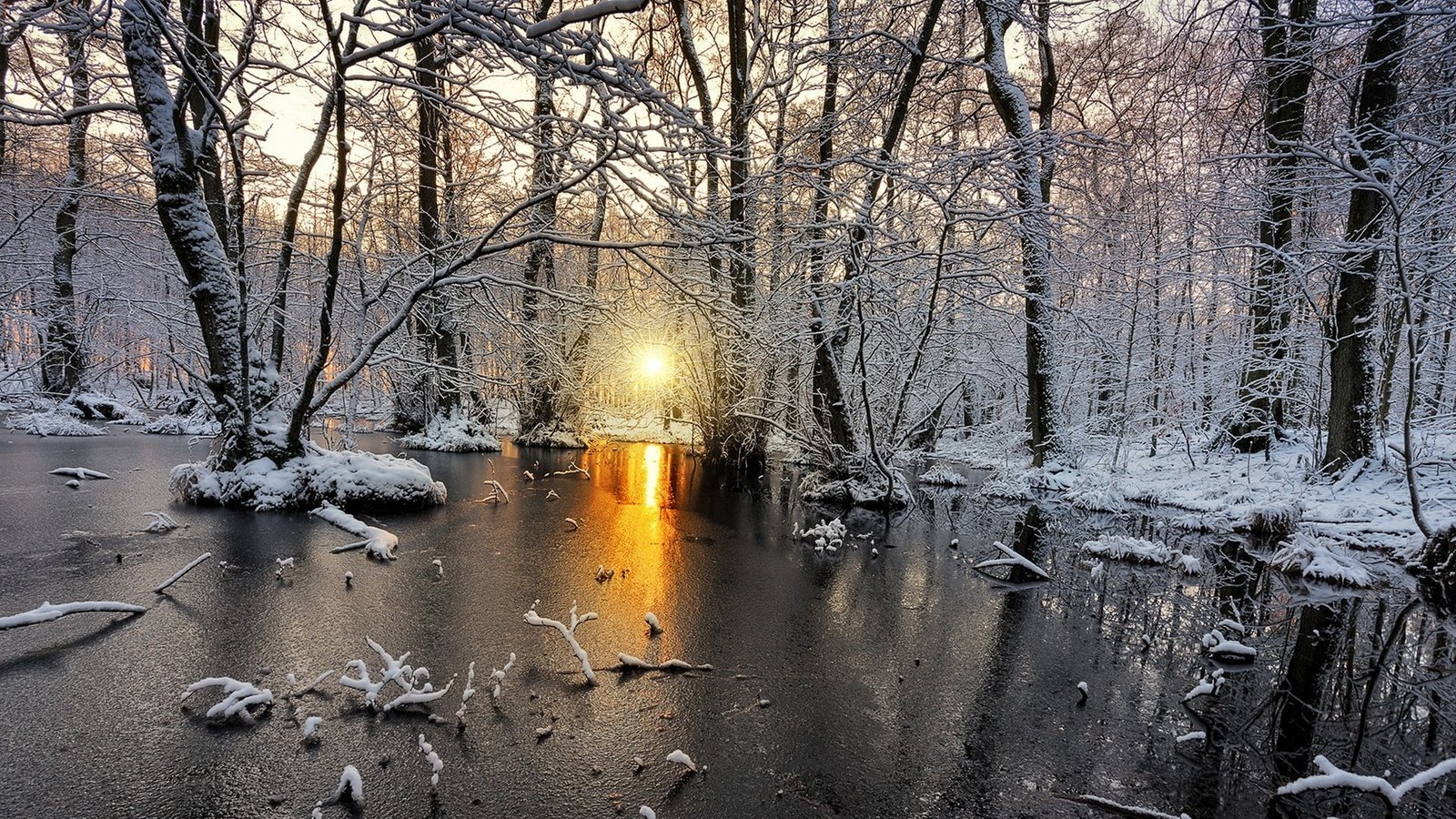 snow covered terrain with trees nature landscape cold winter 2k