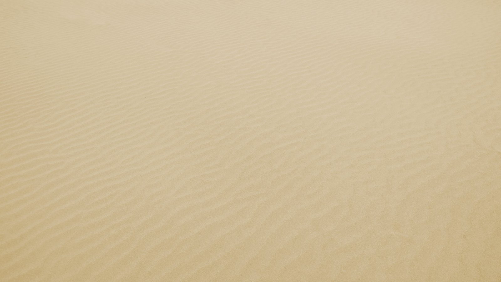 white and gray area rug sand beach nature landscape backgrounds 2k 4k 5k