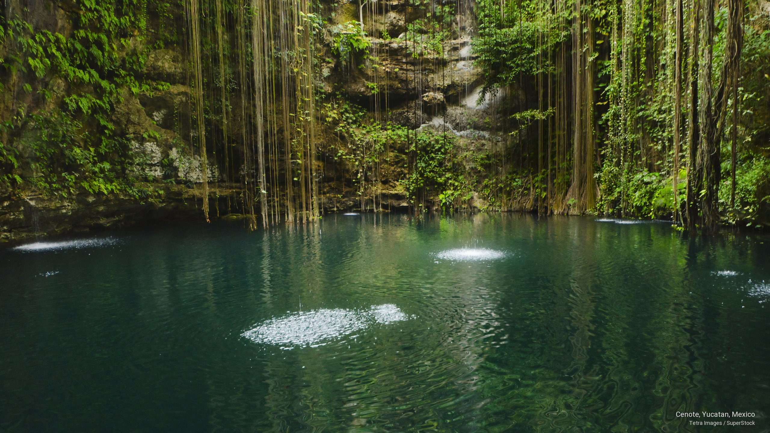 Cenote Yucatan Mexico Nature 2k