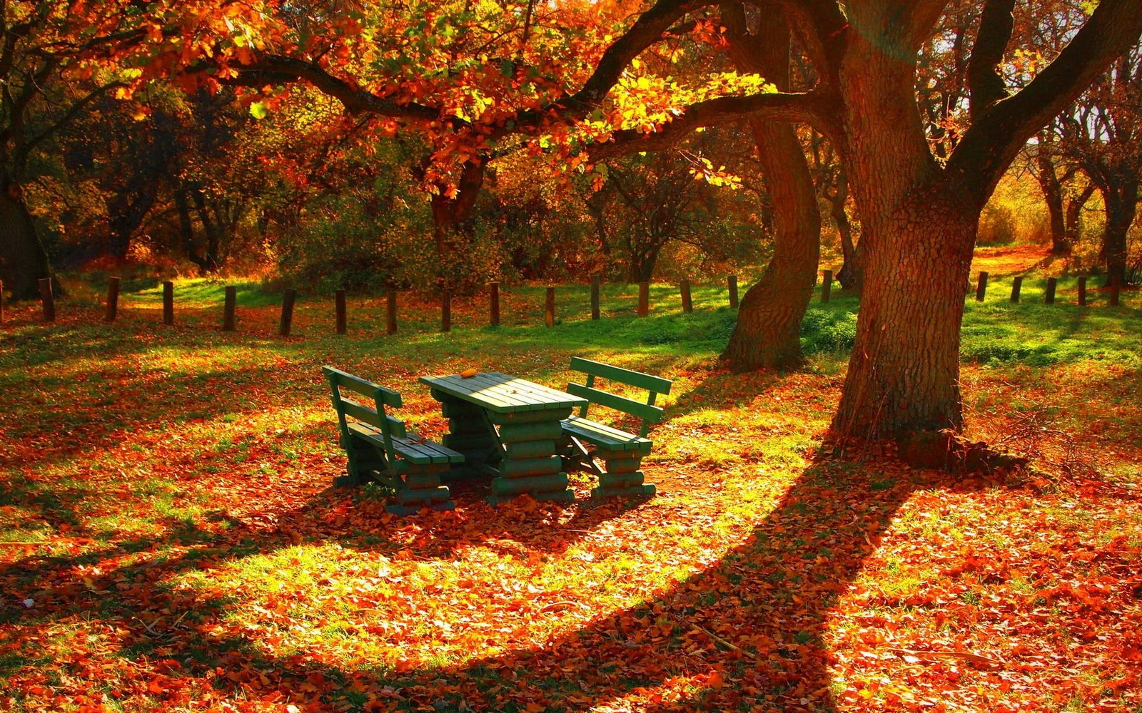 green wooden table with two benches picnic 2k