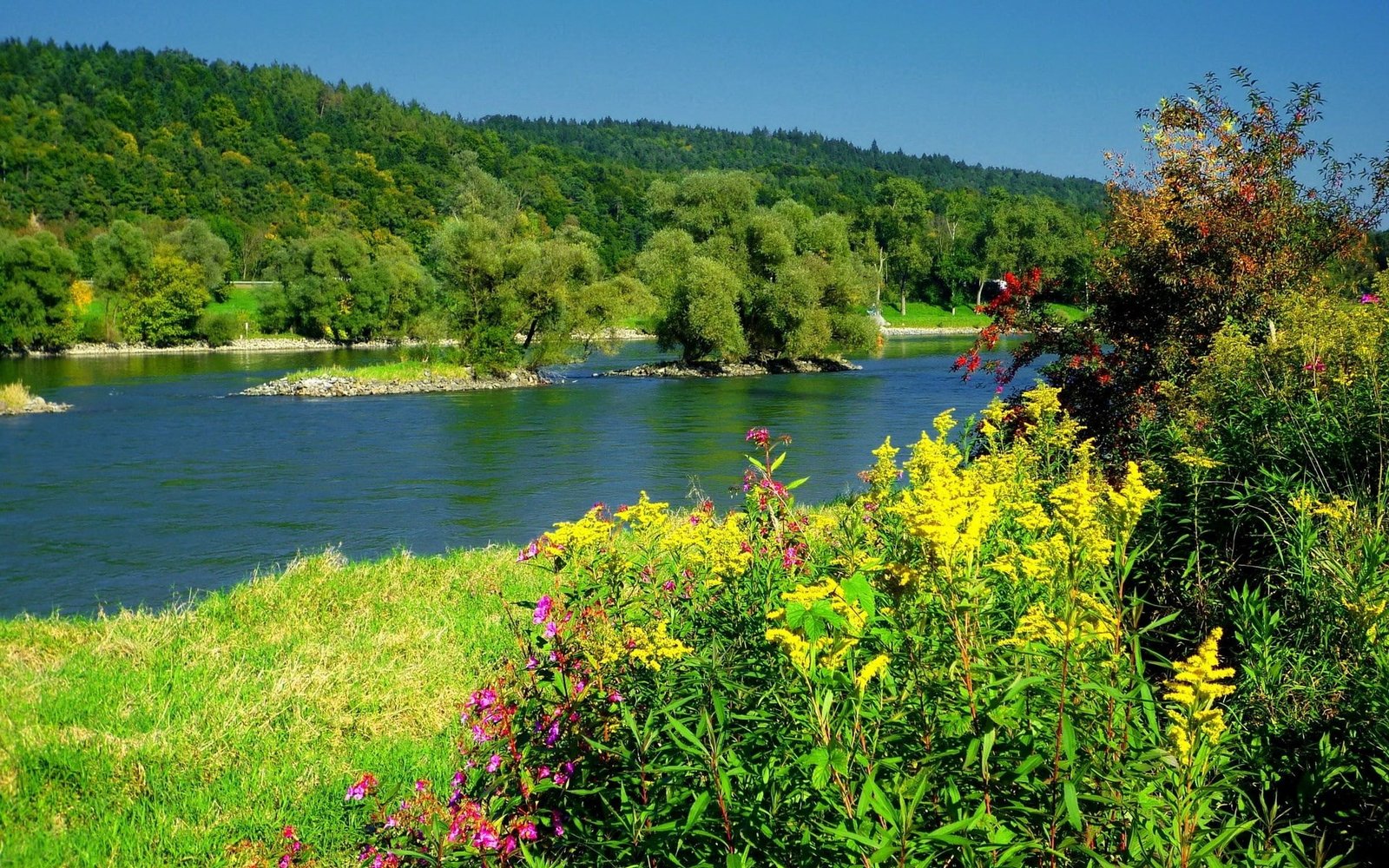 nature high resolution 2k