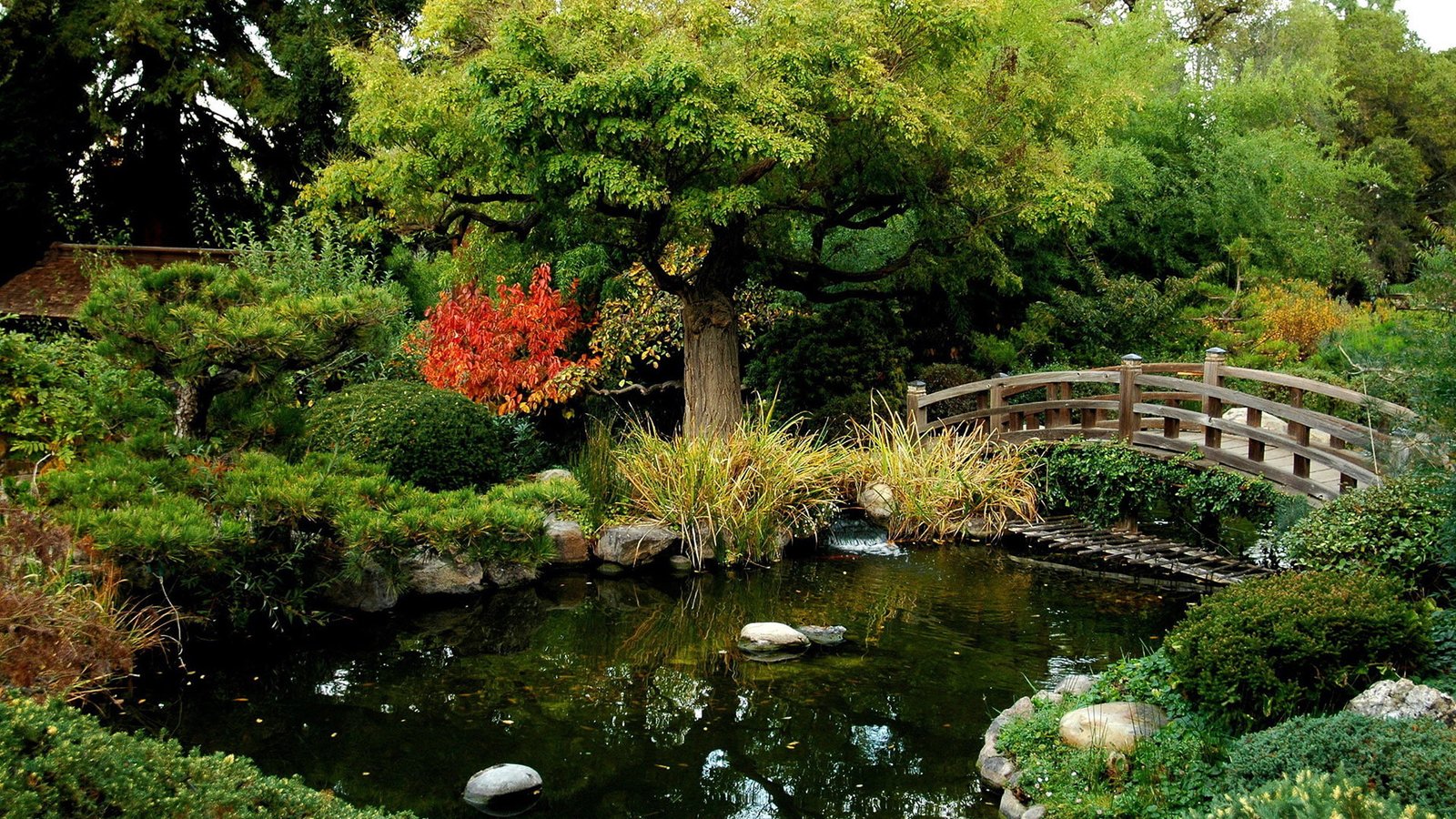 nature forest landscape tree water park river trees 2k