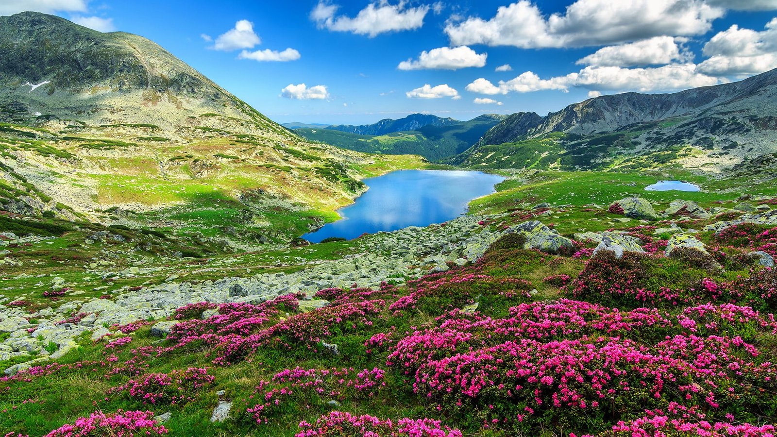 nature landscape clouds sky pink flowers rocks mountains 2k