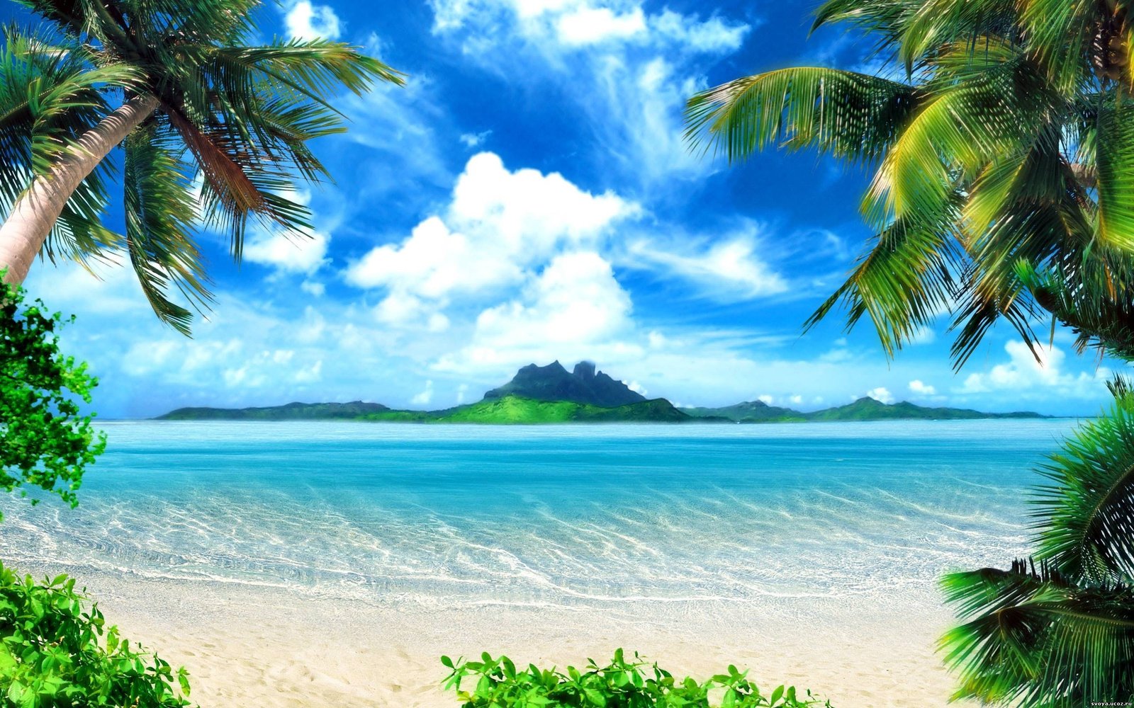 ocean landscapes nature beach seas paradise islands palm trees Nature Oceans HD Art 2k