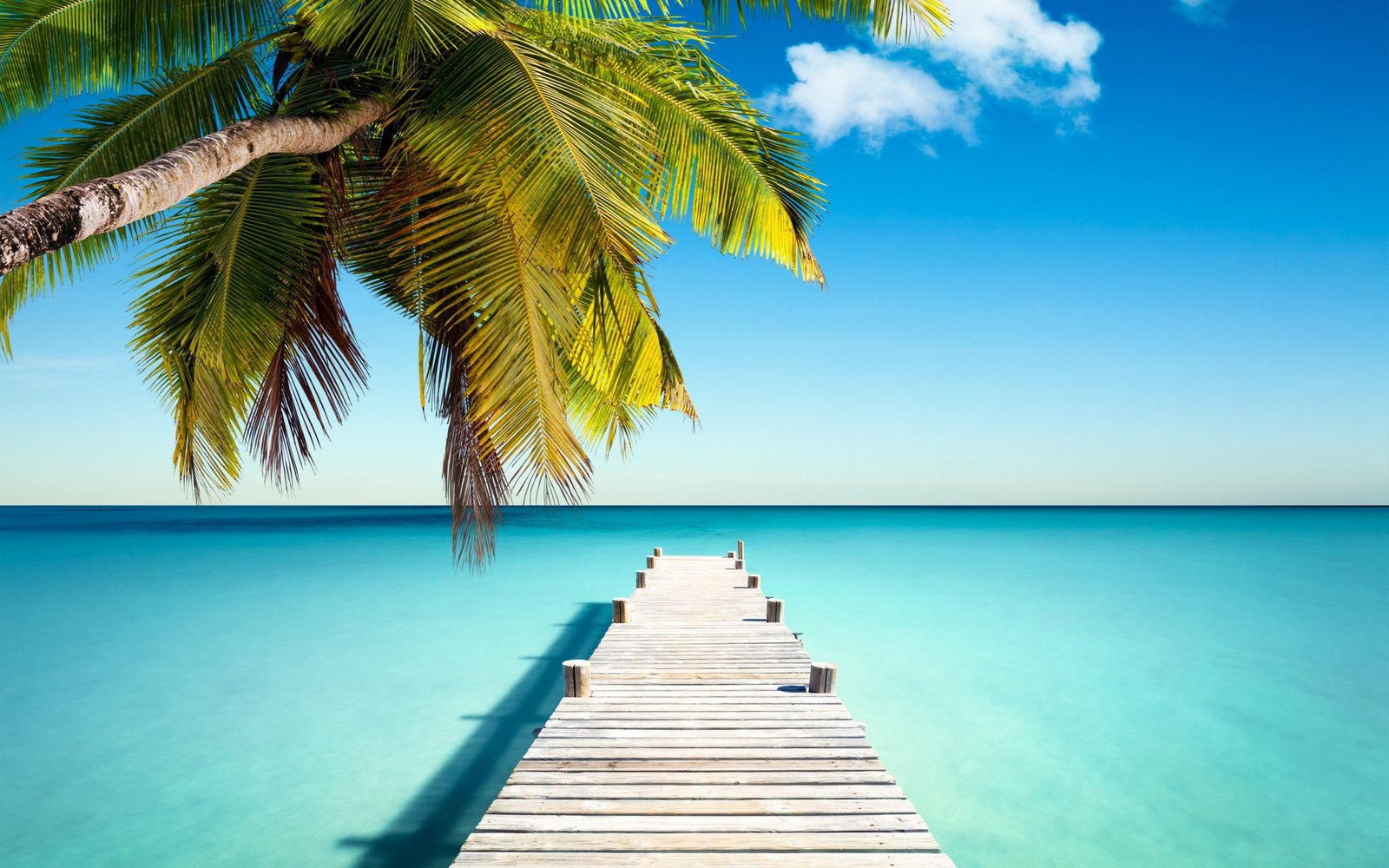 Tropical paradise with palm coast island Ocean sun Sea sand 2k