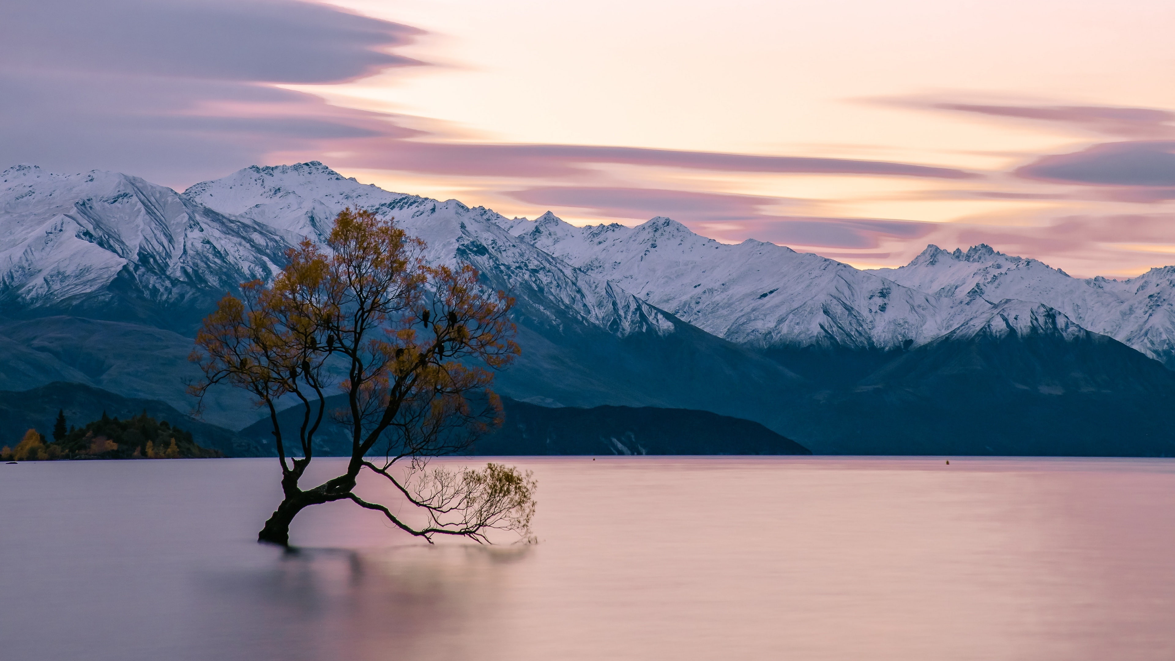 water new zealand lake wanaka mountain horizon lonely tree 2k 4k