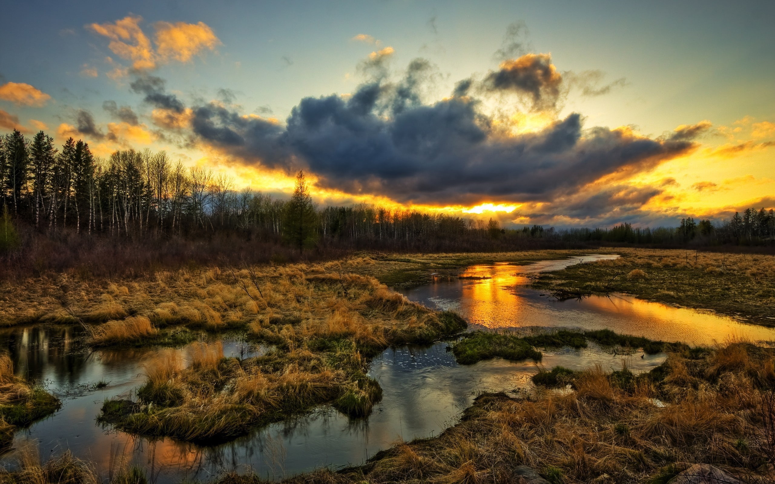 Wetlands trees clouds sunset grass water stream beautiful scenery 2k