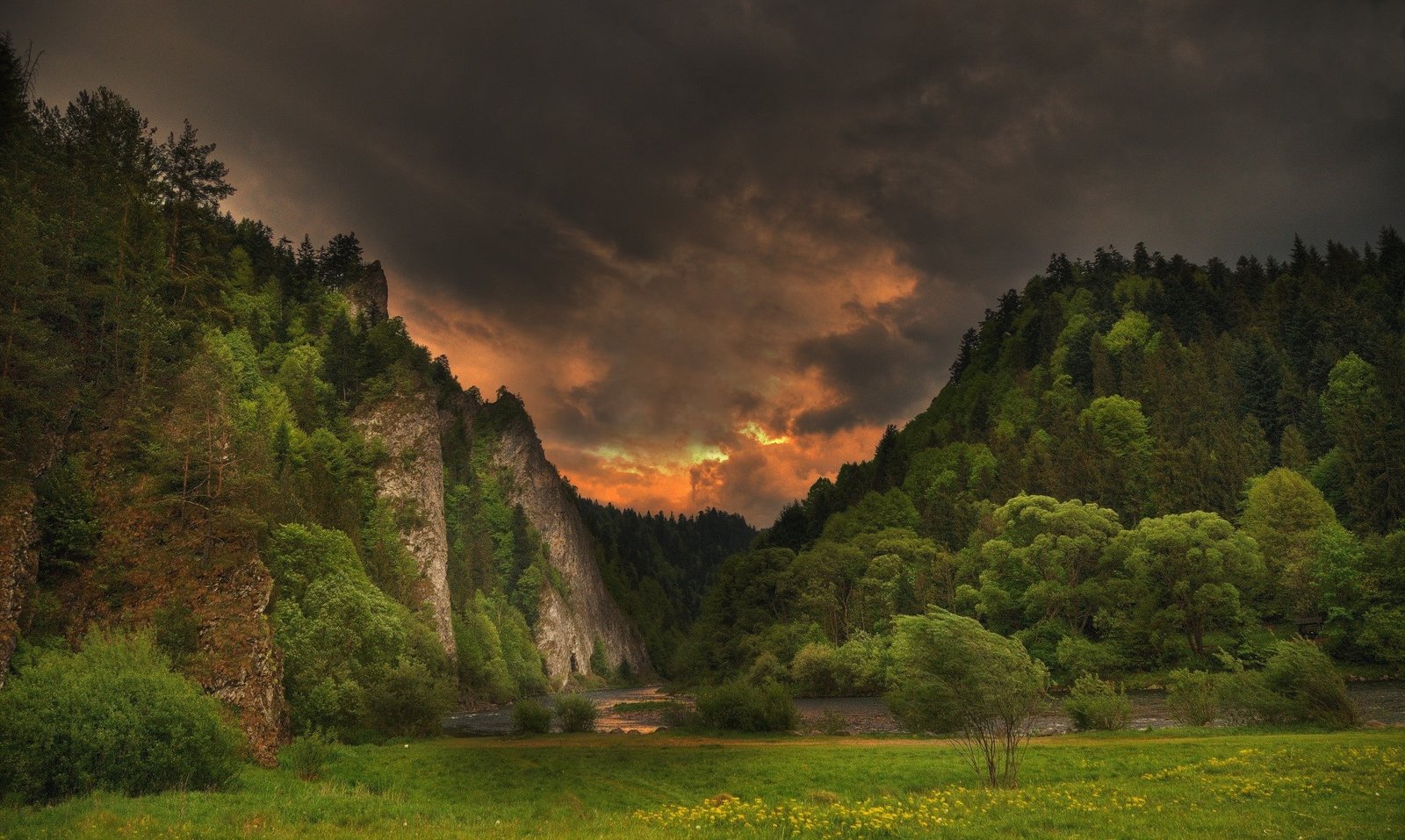 green leafed trees spring river storm clouds forest hills 2k