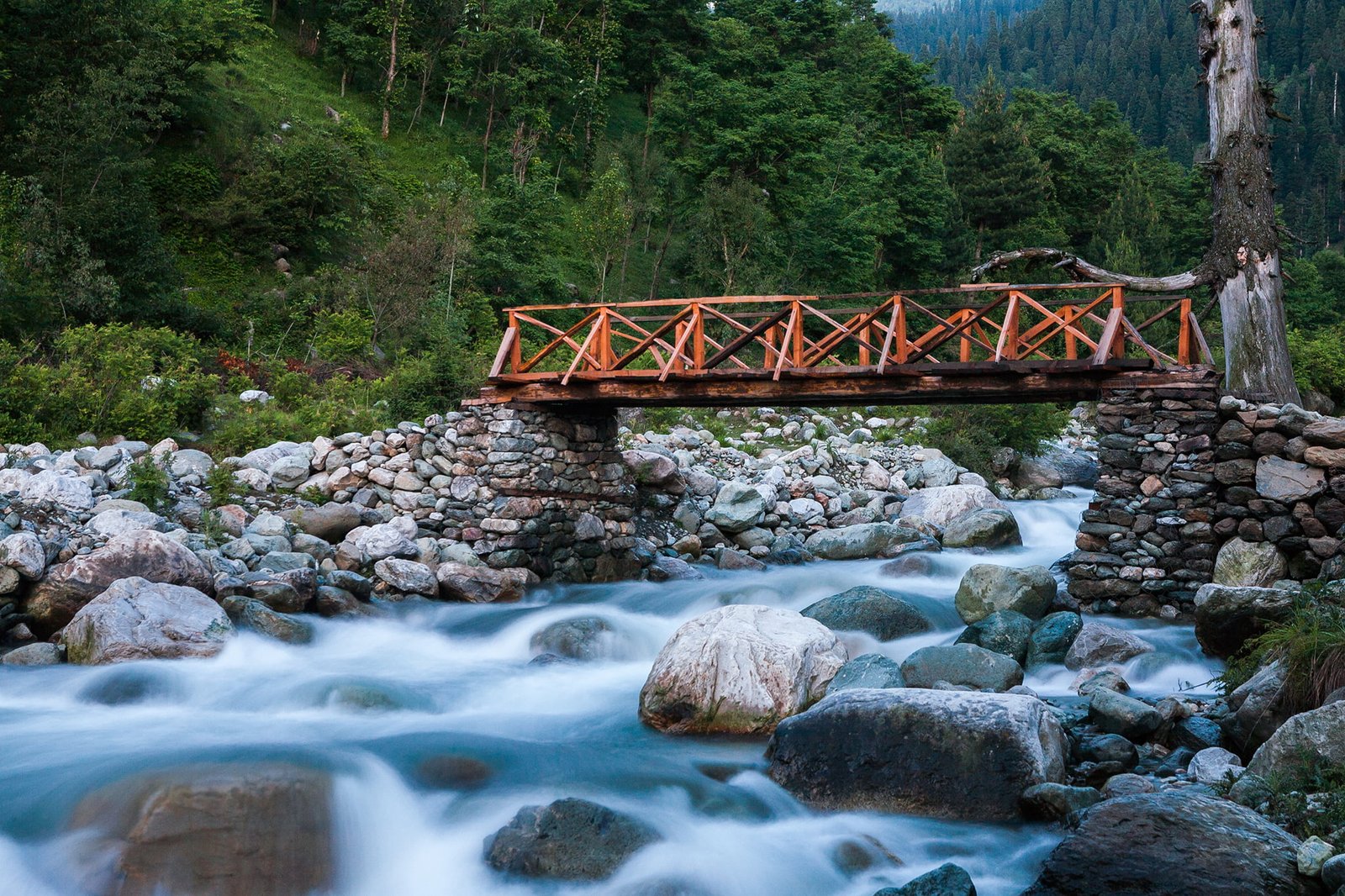 landscape nature illustration india Bridge jammu and kashmir 2k