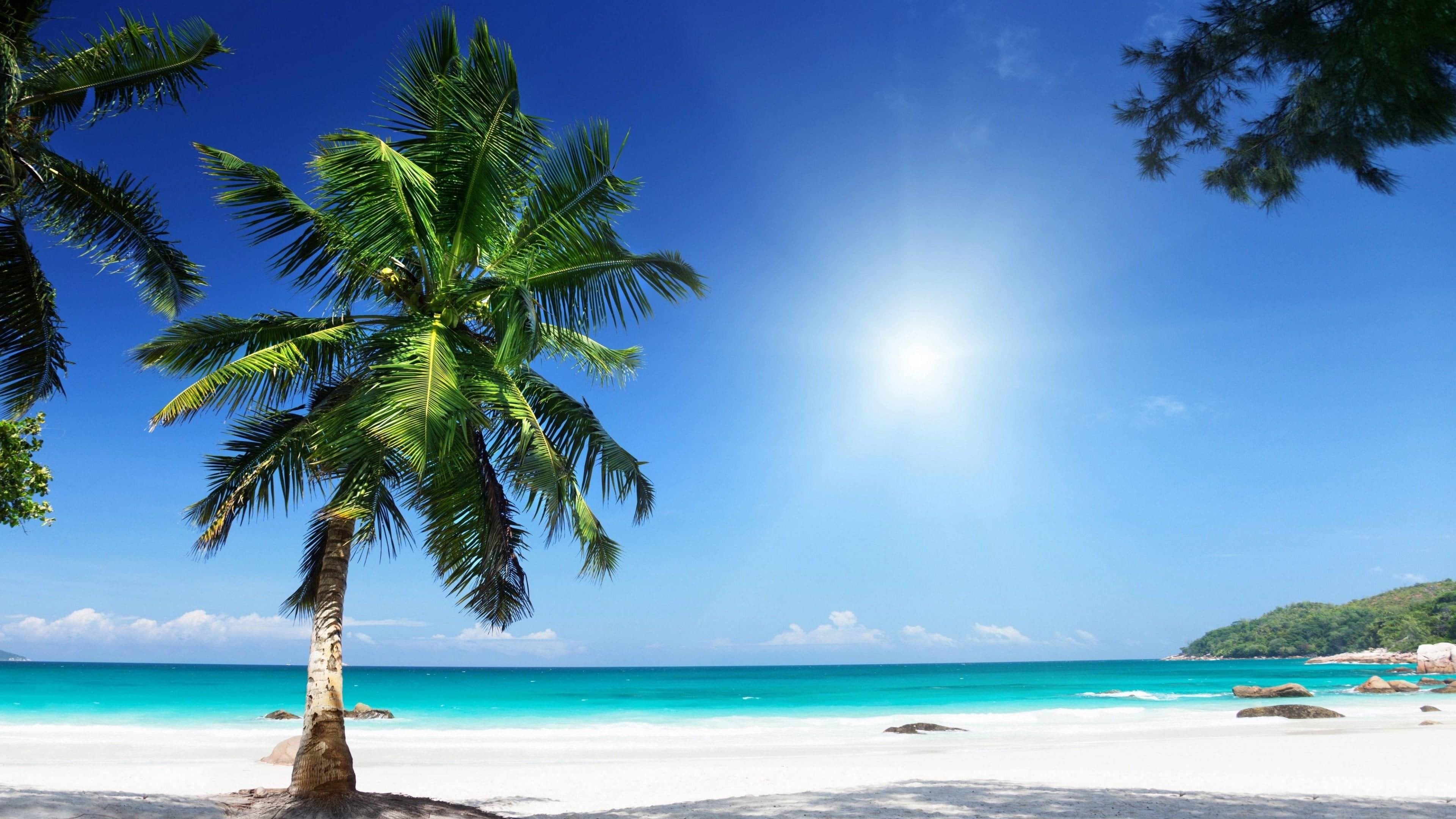 summer blue sky tropical exotic holiday beach white sand 2k 4k