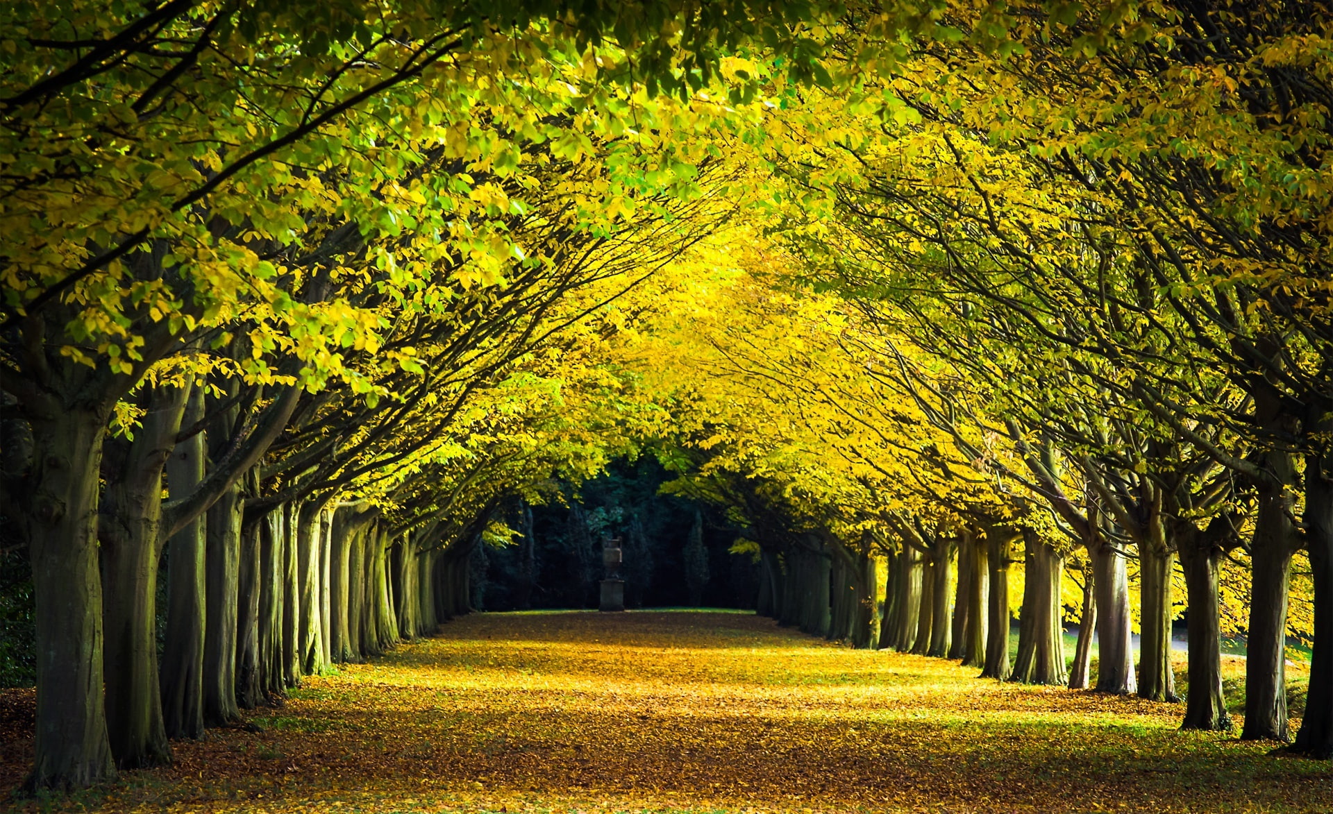 Autumn Walk Seasons Nature Landscape Scenery Garden Trees 2k