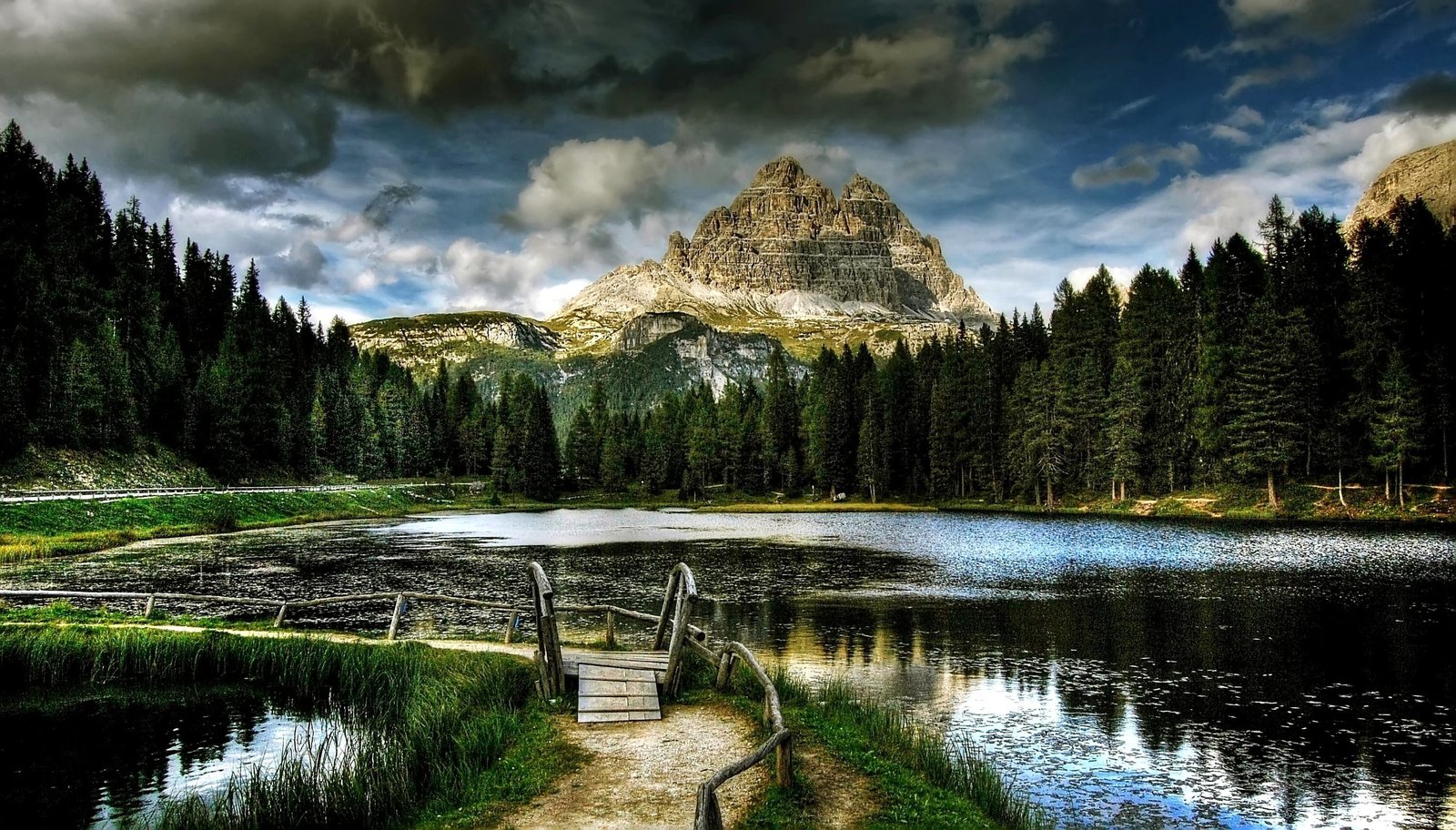 body of water surrounded by tall trees green pine tree 2k