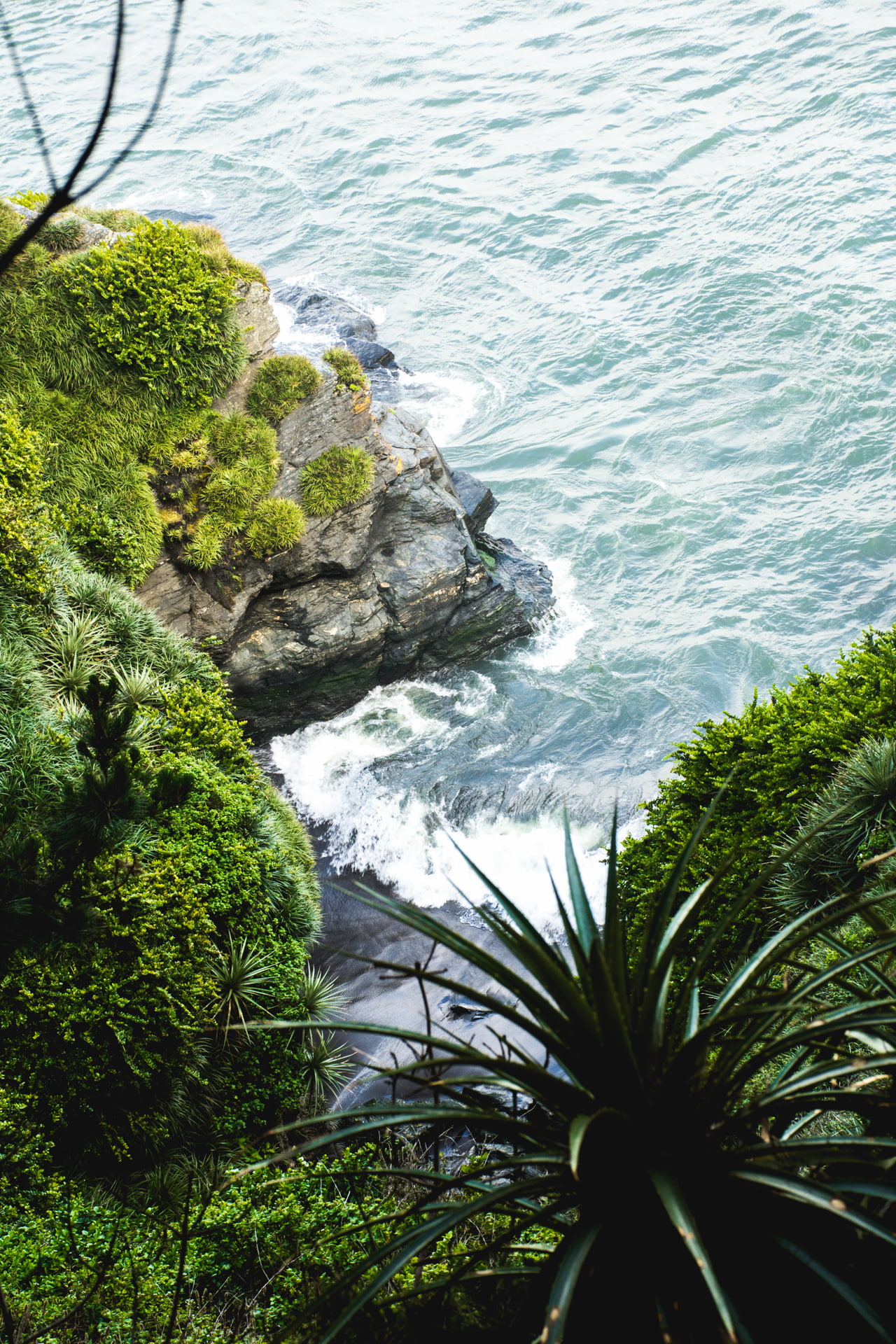 Cerro Pompom beach River mouth landscape vertical