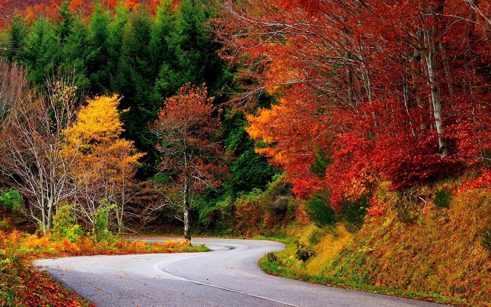 computer desktop full screen nature pics 2k