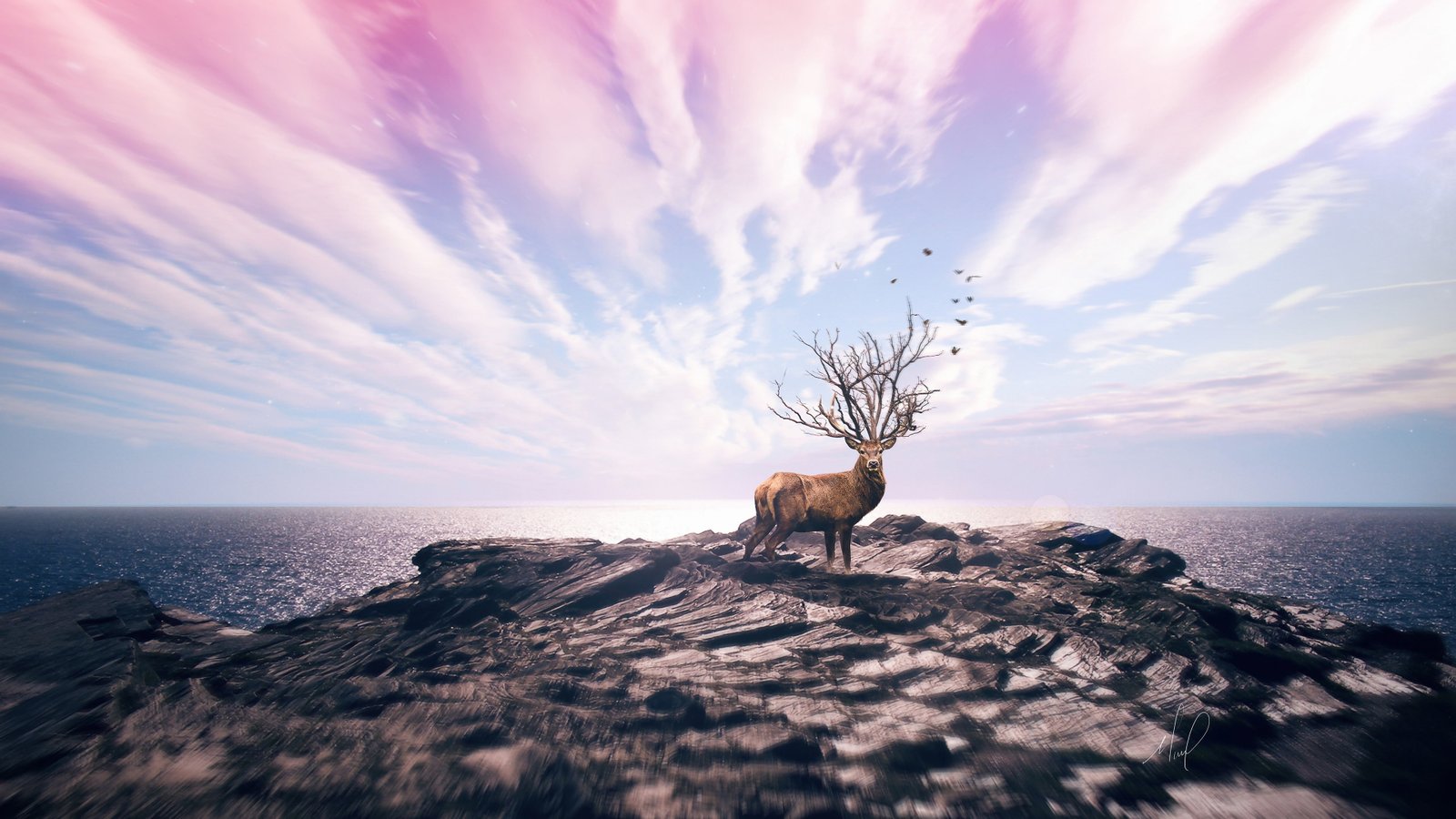 deer cliff HD fantsy 2k 4k