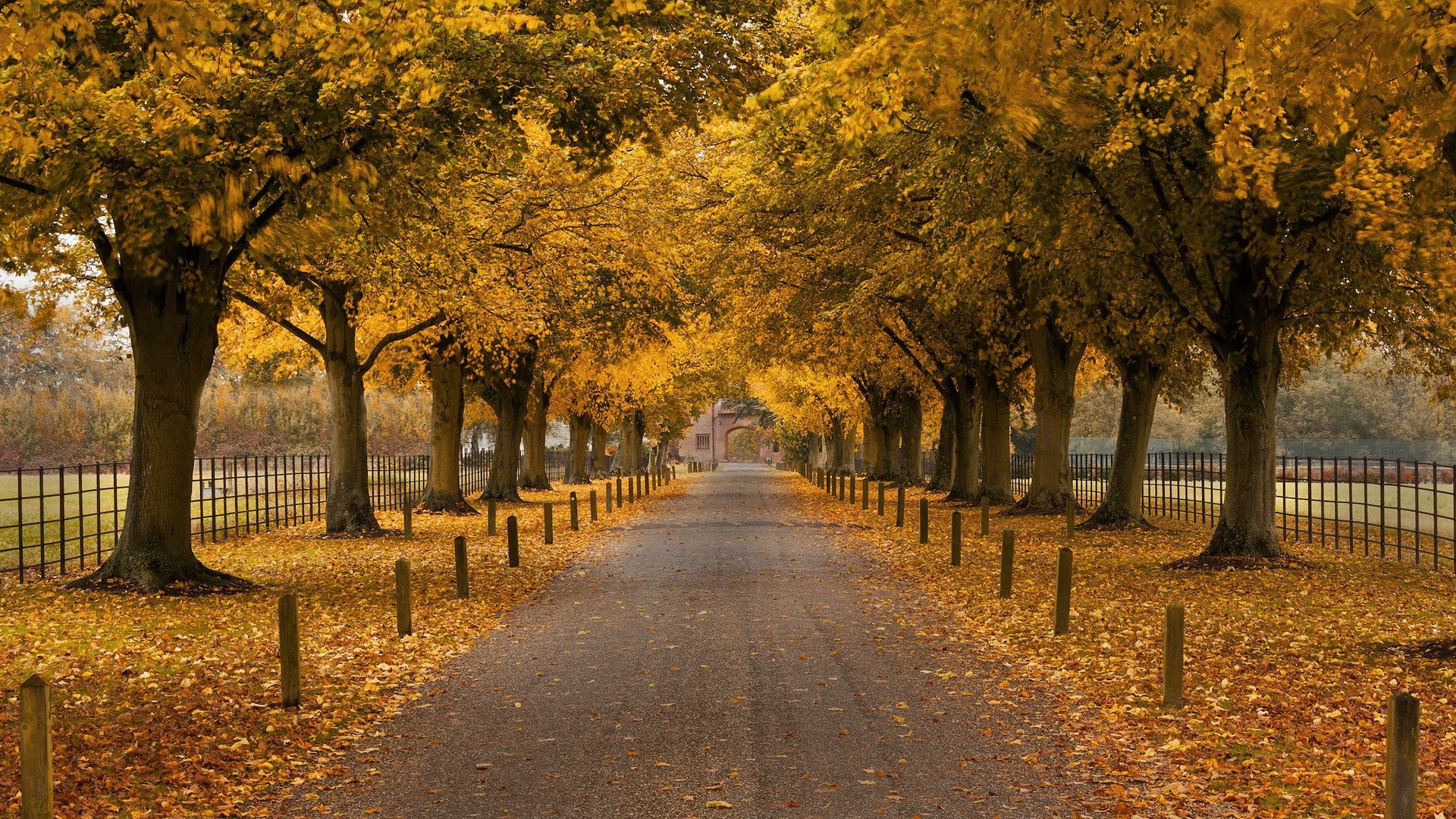 for desktop nature scenes beautiful scenery autumn 2k