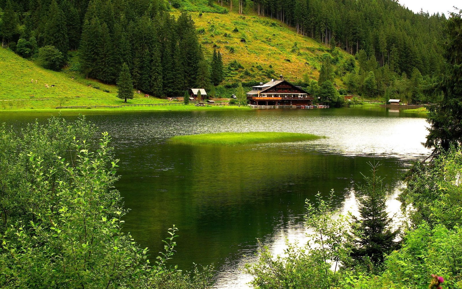 full hd nature p desktop 2k