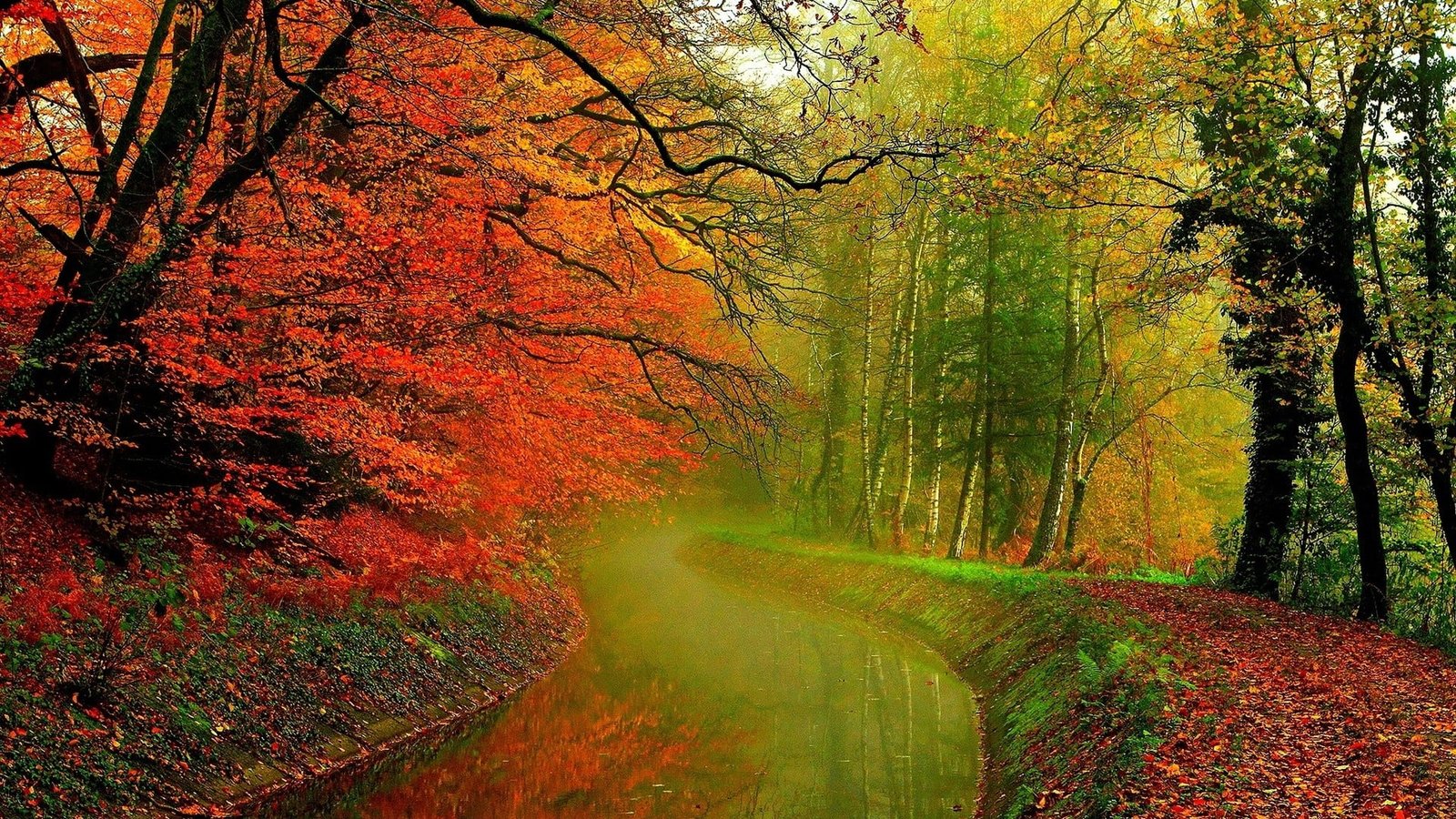 green and orange leafed trees landscape photography of water surrounded with 2k