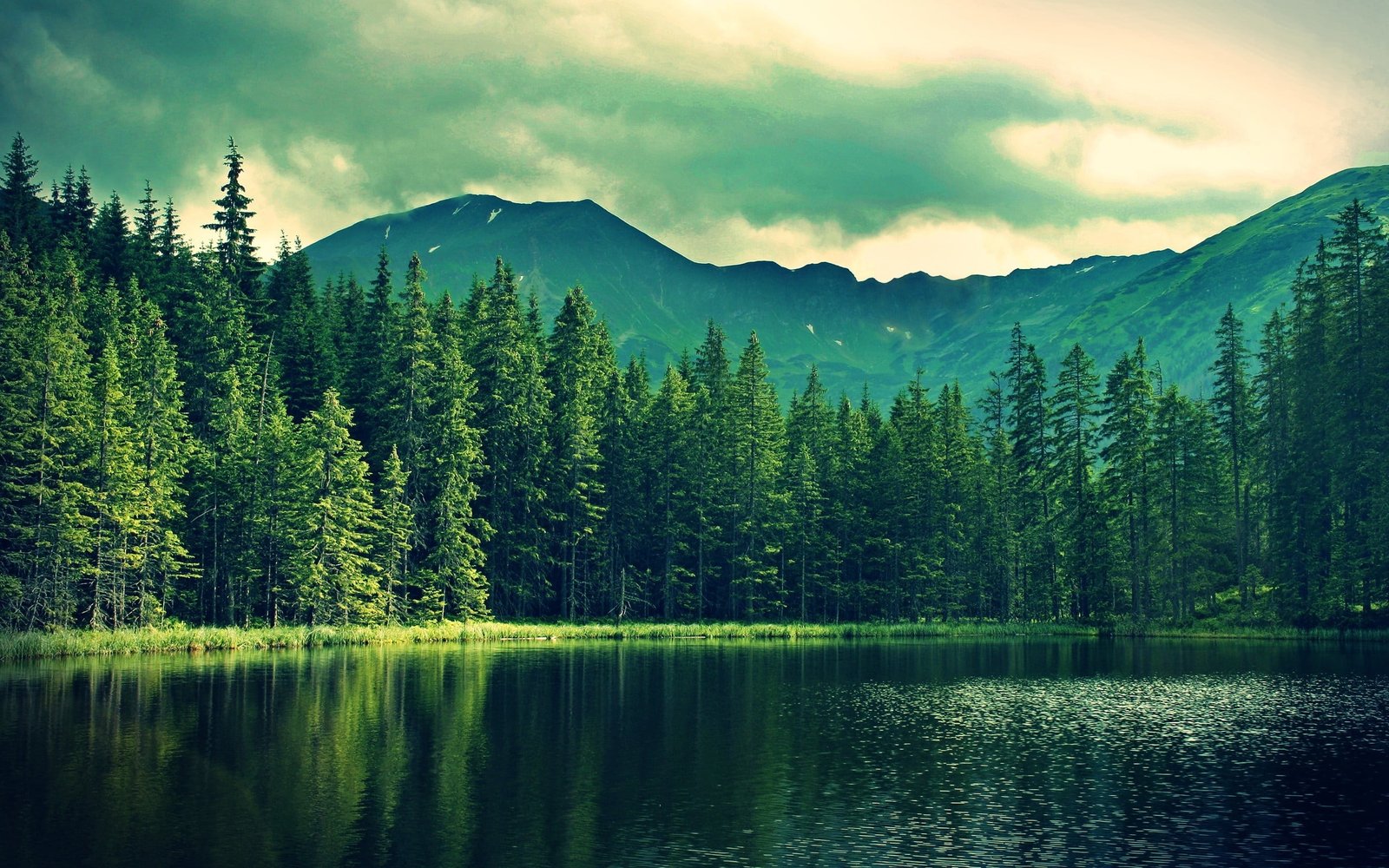 green leafed trees and body of water nature landscape hills 2k