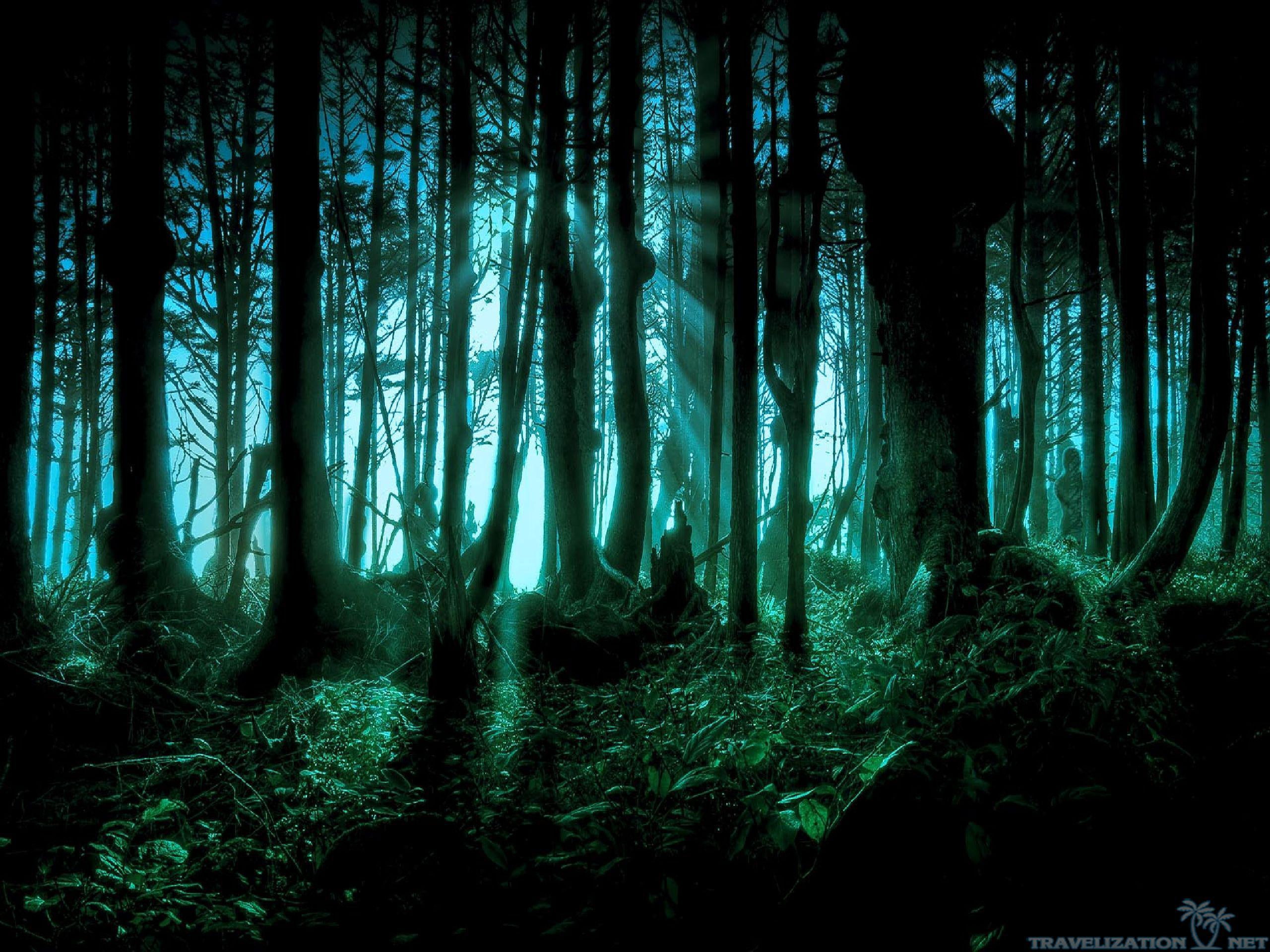 Halloween scary Pacific forests dark nature 2k