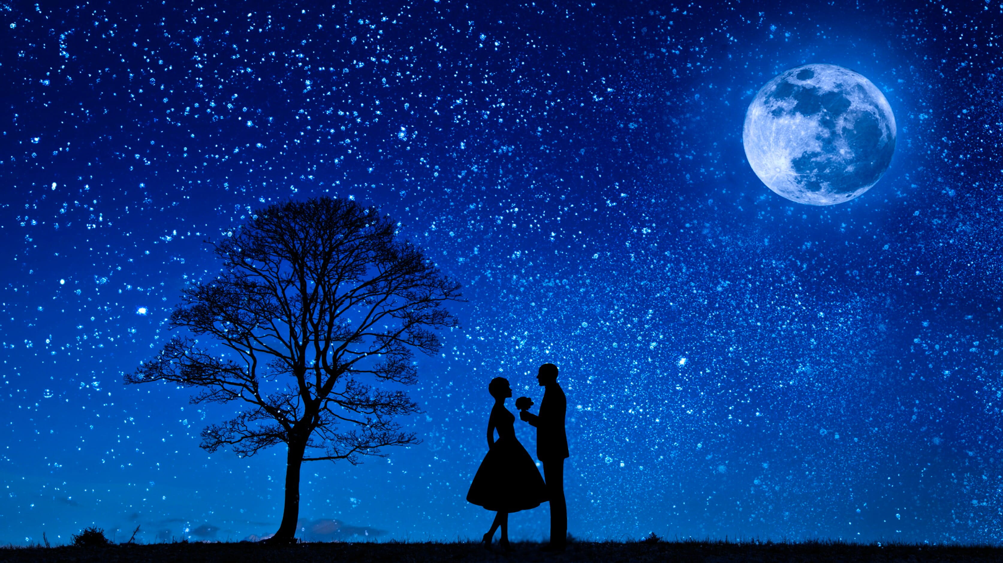 Photo Illustration of two lovers under the full moon on a starry night 2k