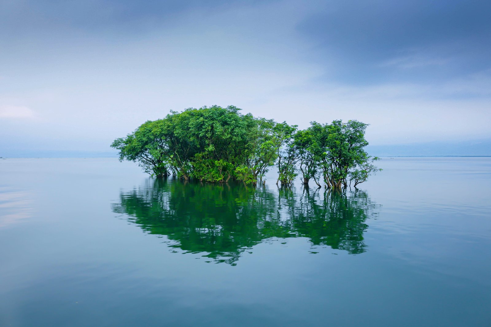 river trees nature water landscape lake forest outdoors 2k 4k 5k