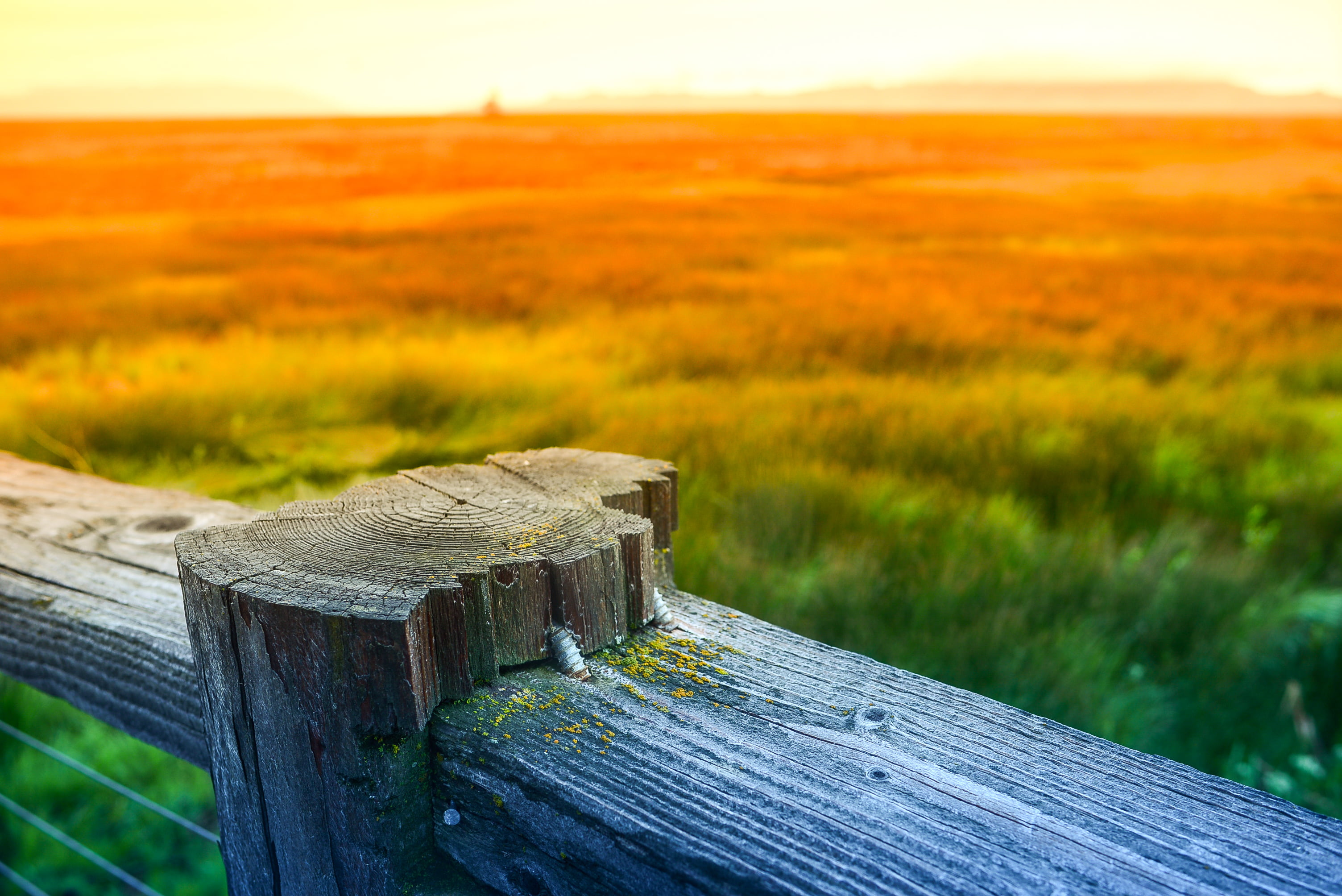 scenery of green grass lawn during daytime wood fence post field 2k