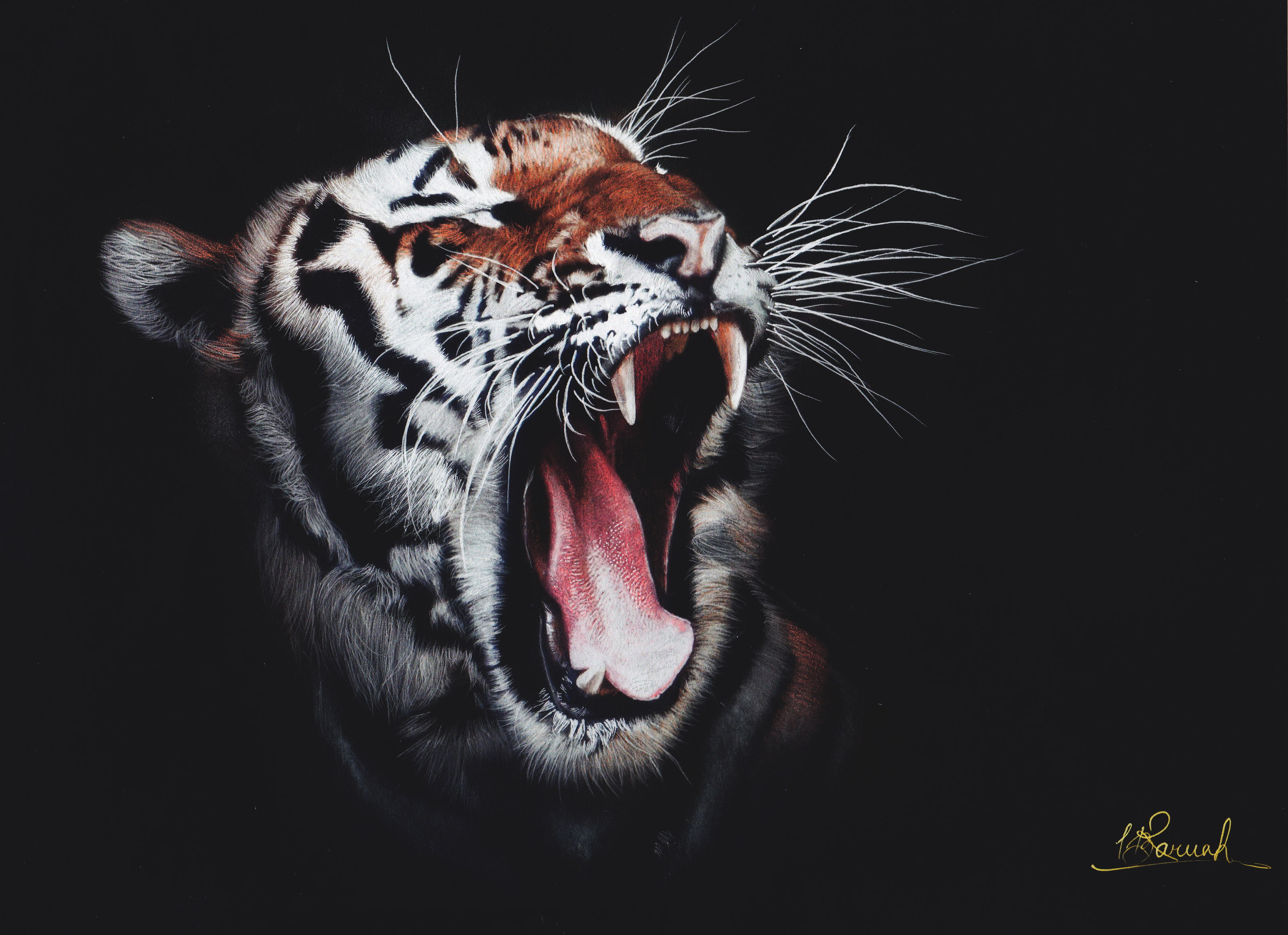 tiger roar artwork hd digital art superheroes animals 2k