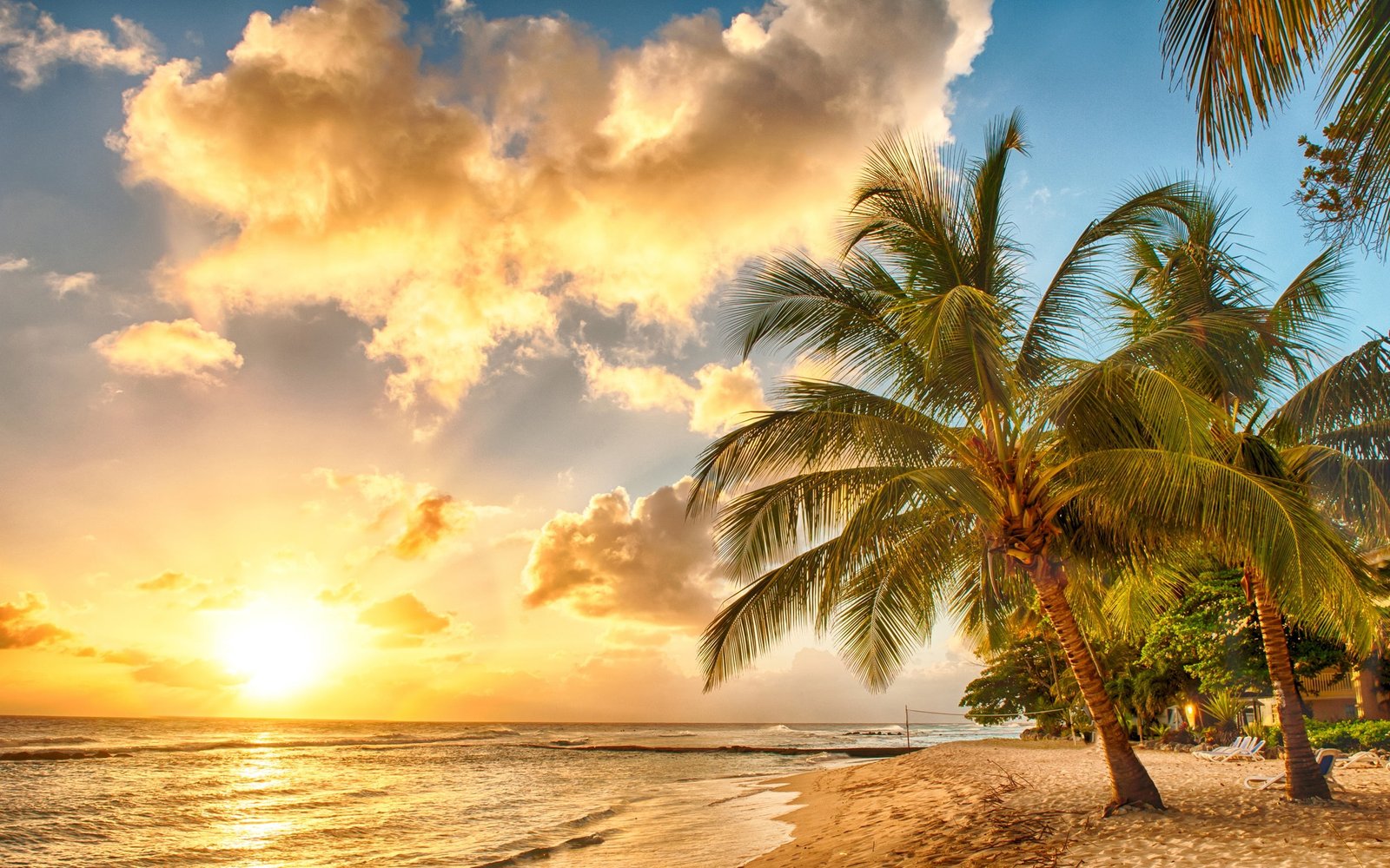 Tropical paradise beach palms sea ocean sunset 2k