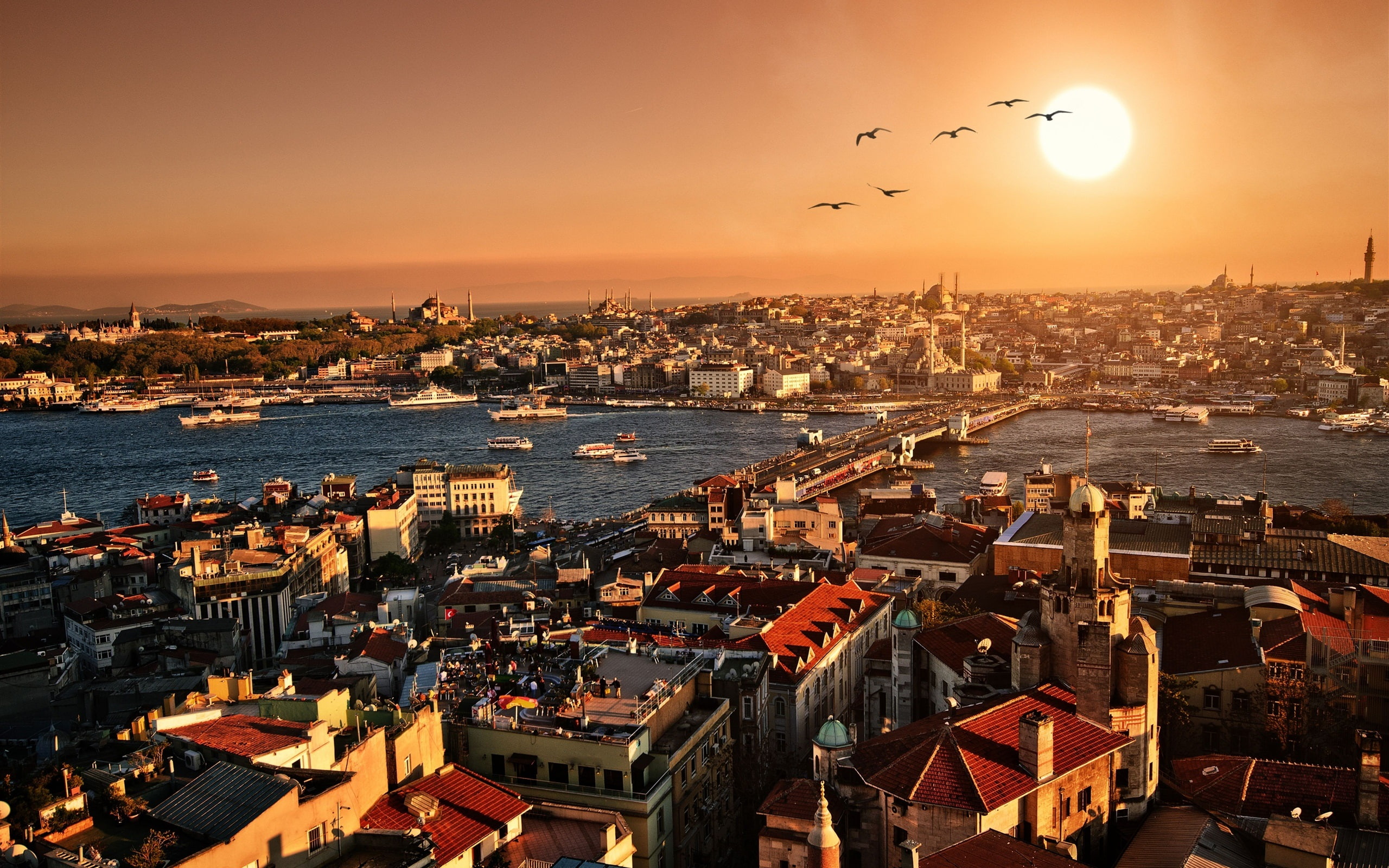Turkey Istanbul beautiful city scenery sunset buildings houses river and 2k