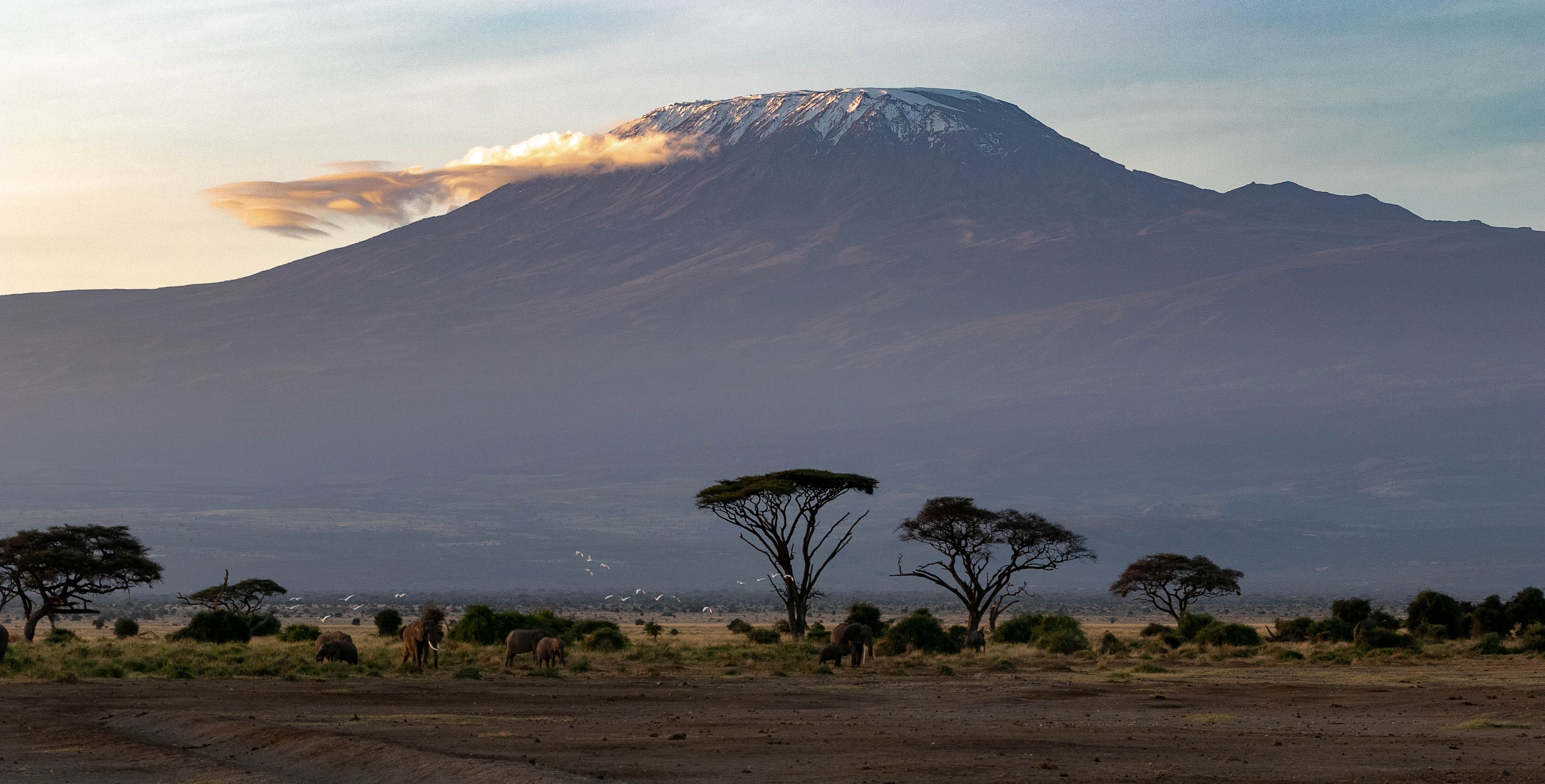 africa kenya amboseli national park safari wilderness landscape 2k 4k 5k