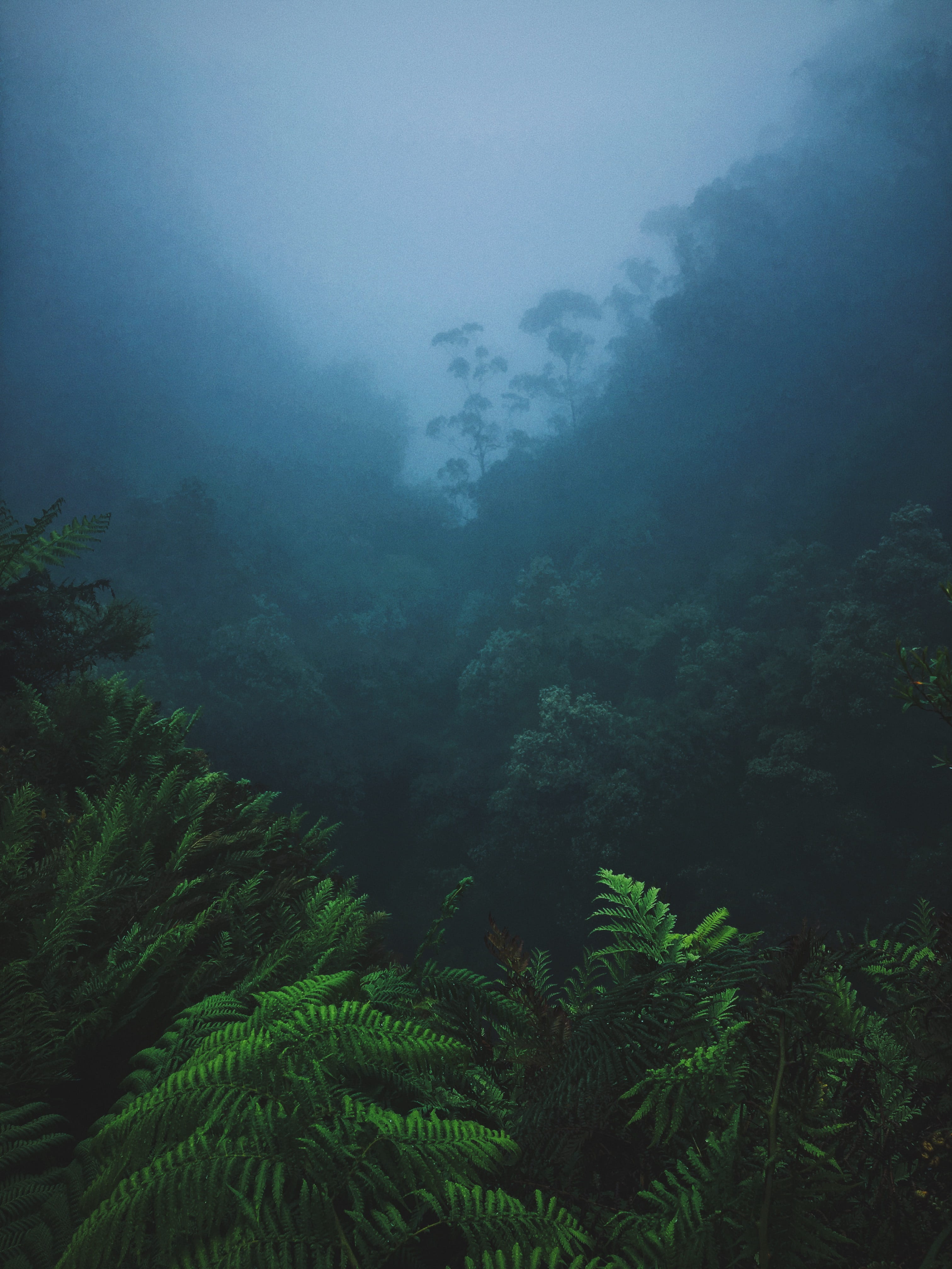 australia blue mountains national park moody jurassic landscape 2k