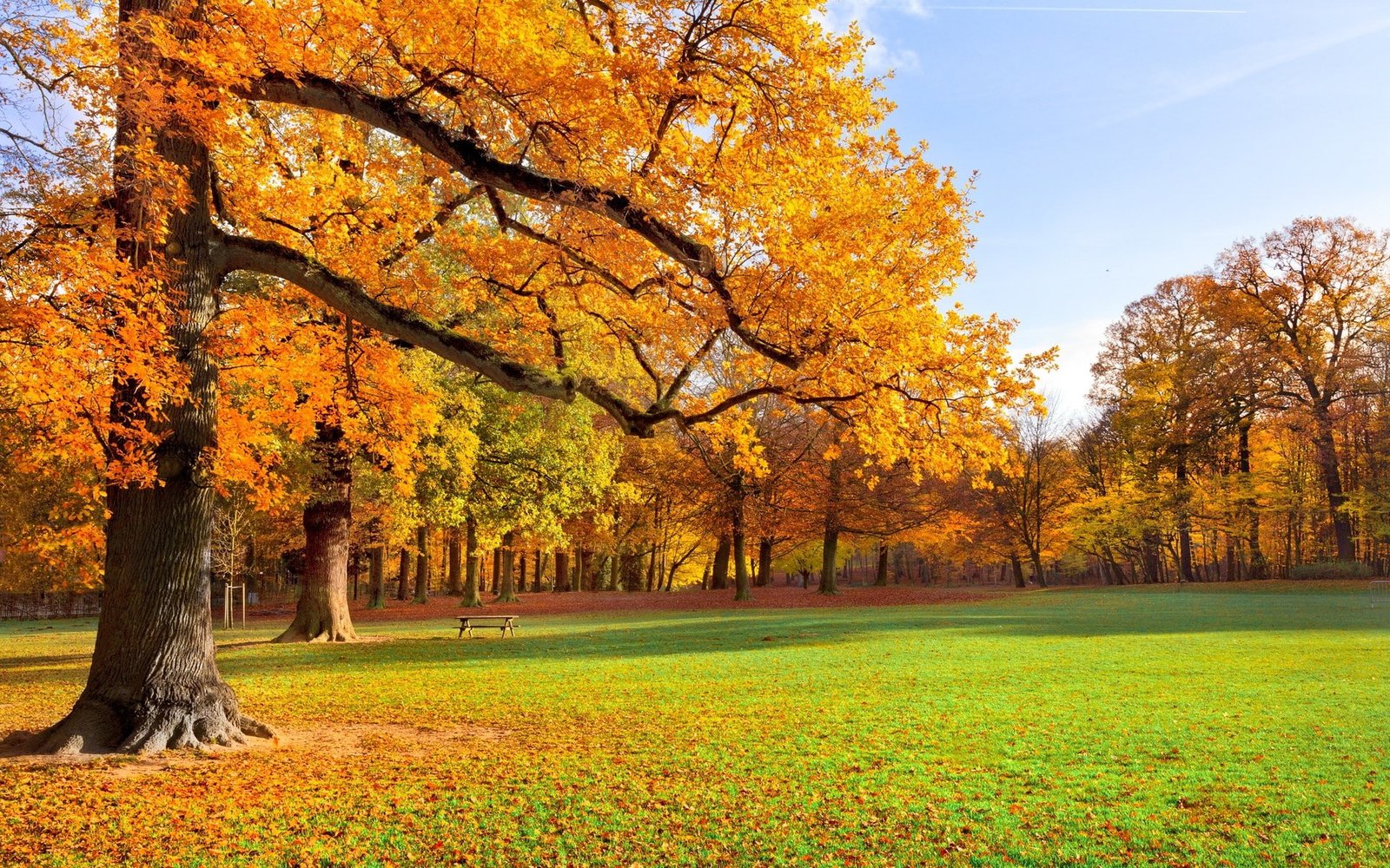 background pictures nature hd images 2k