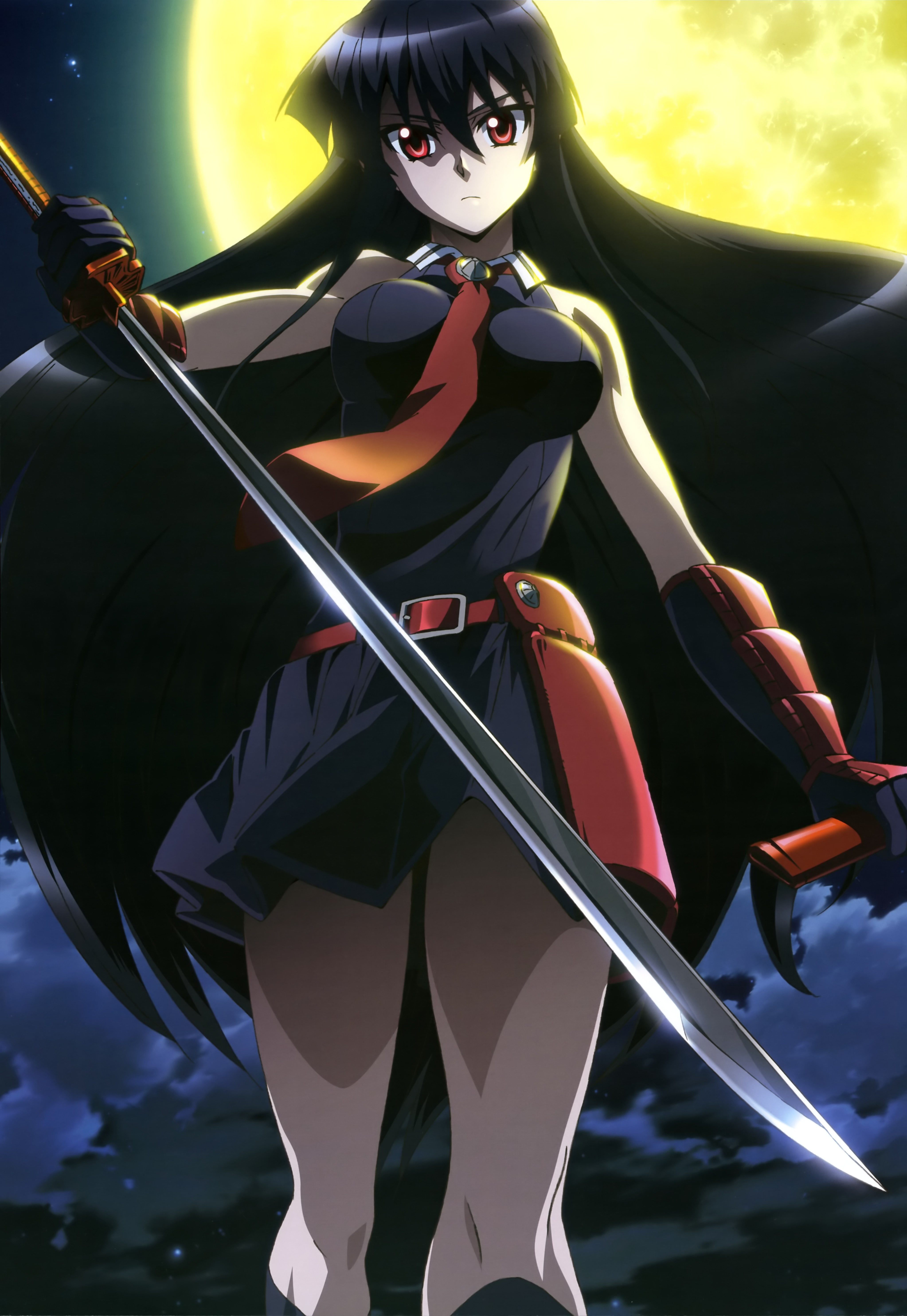 black haired girl anime character illustration Akame ga Kill 2k 4k