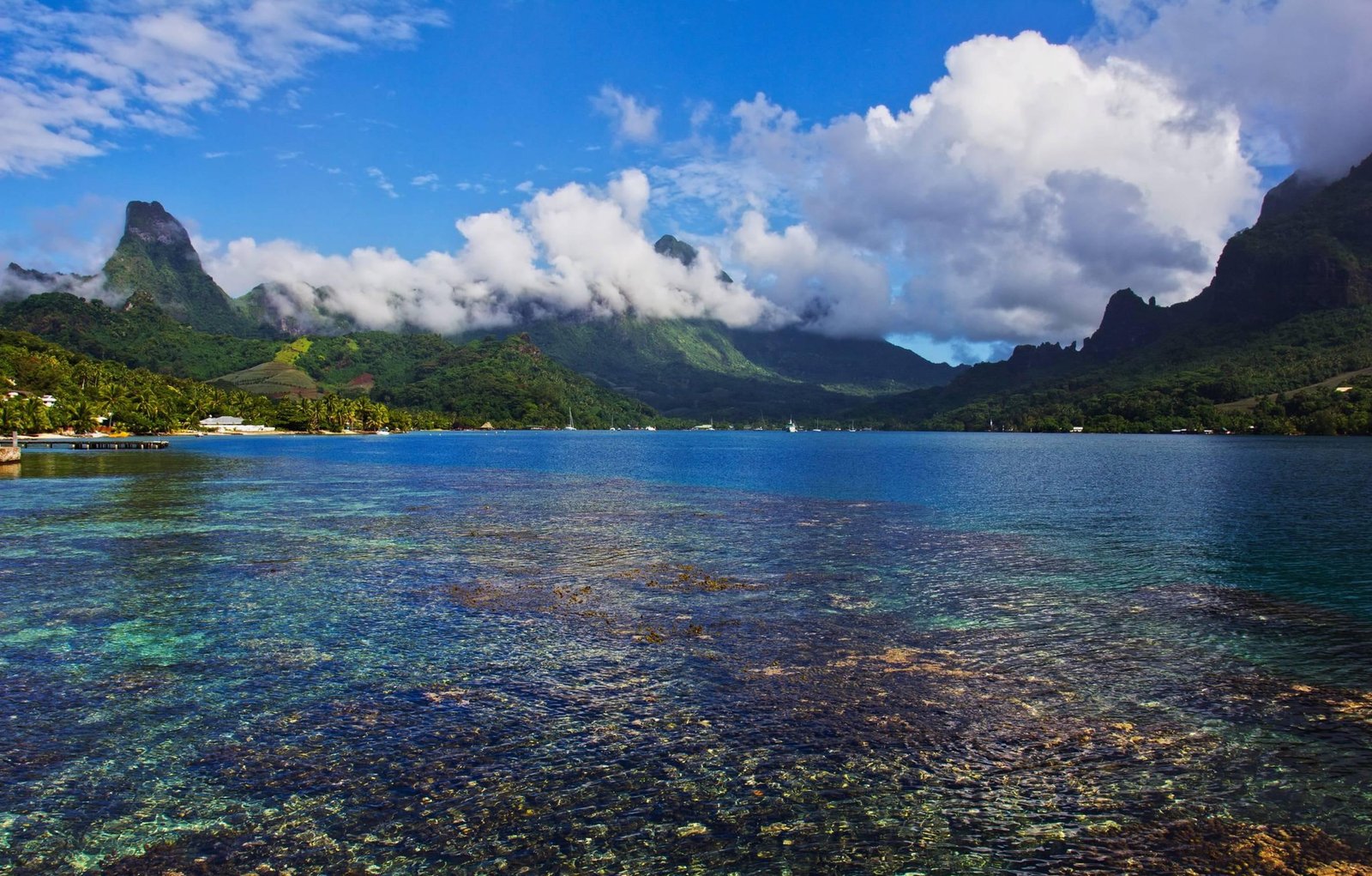 Cook s Bay Moorea South Pacific volcanic beach island tahiti 2k