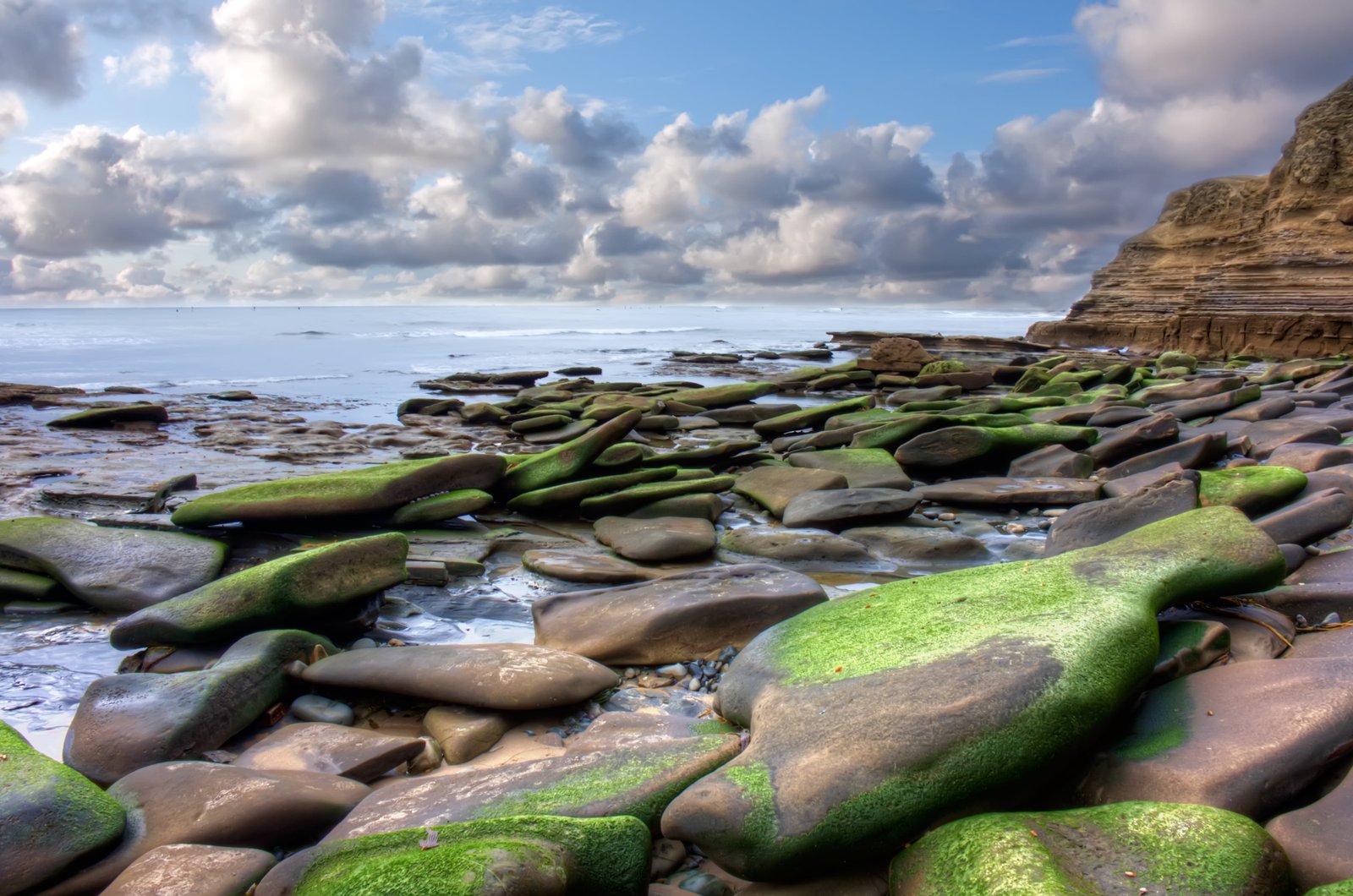 green and brown rocks on the sea shore during morning beach 2k 4k