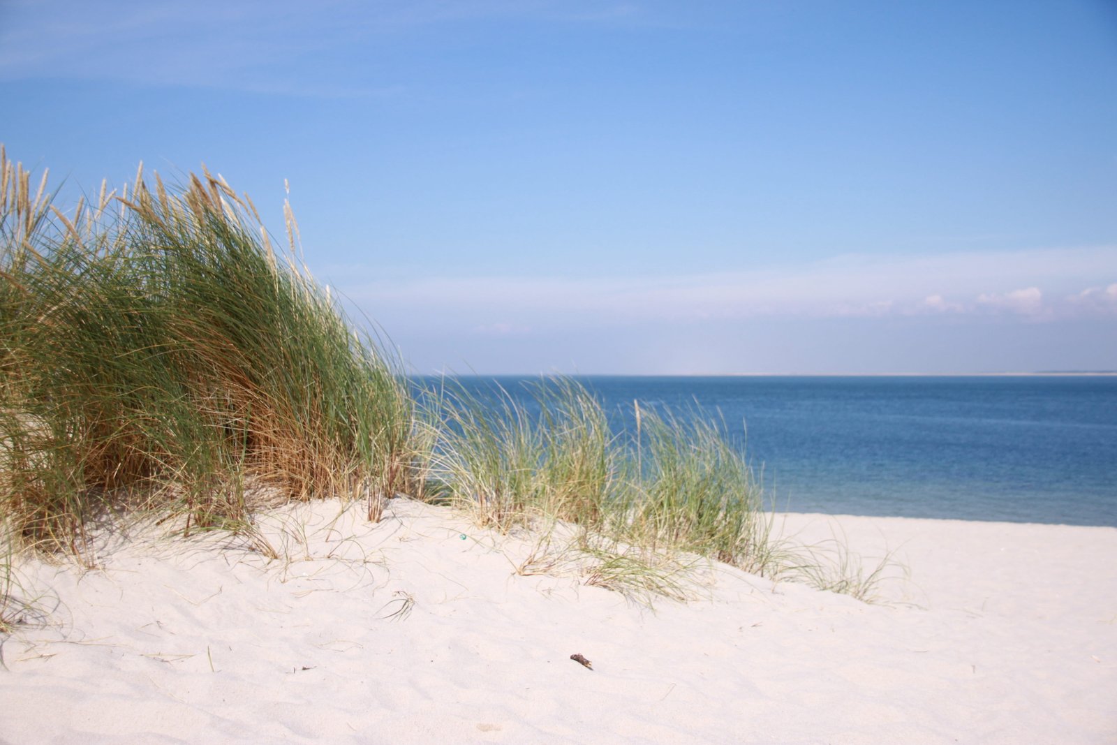 green grass on seashore at daytime beach sand north sea sylt 2k 4k 5k