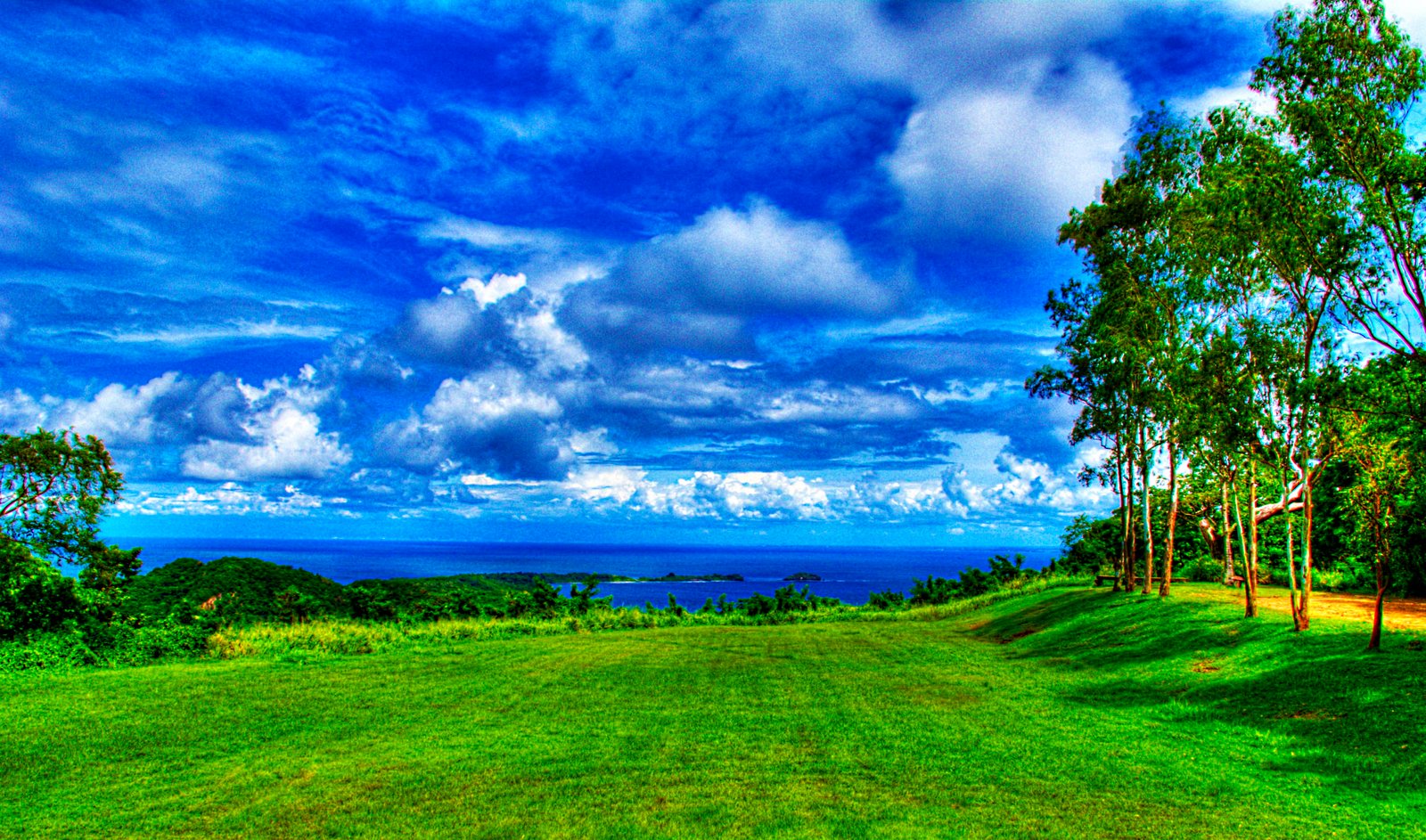 green leave tree manila bay philippines corregidor island 2k