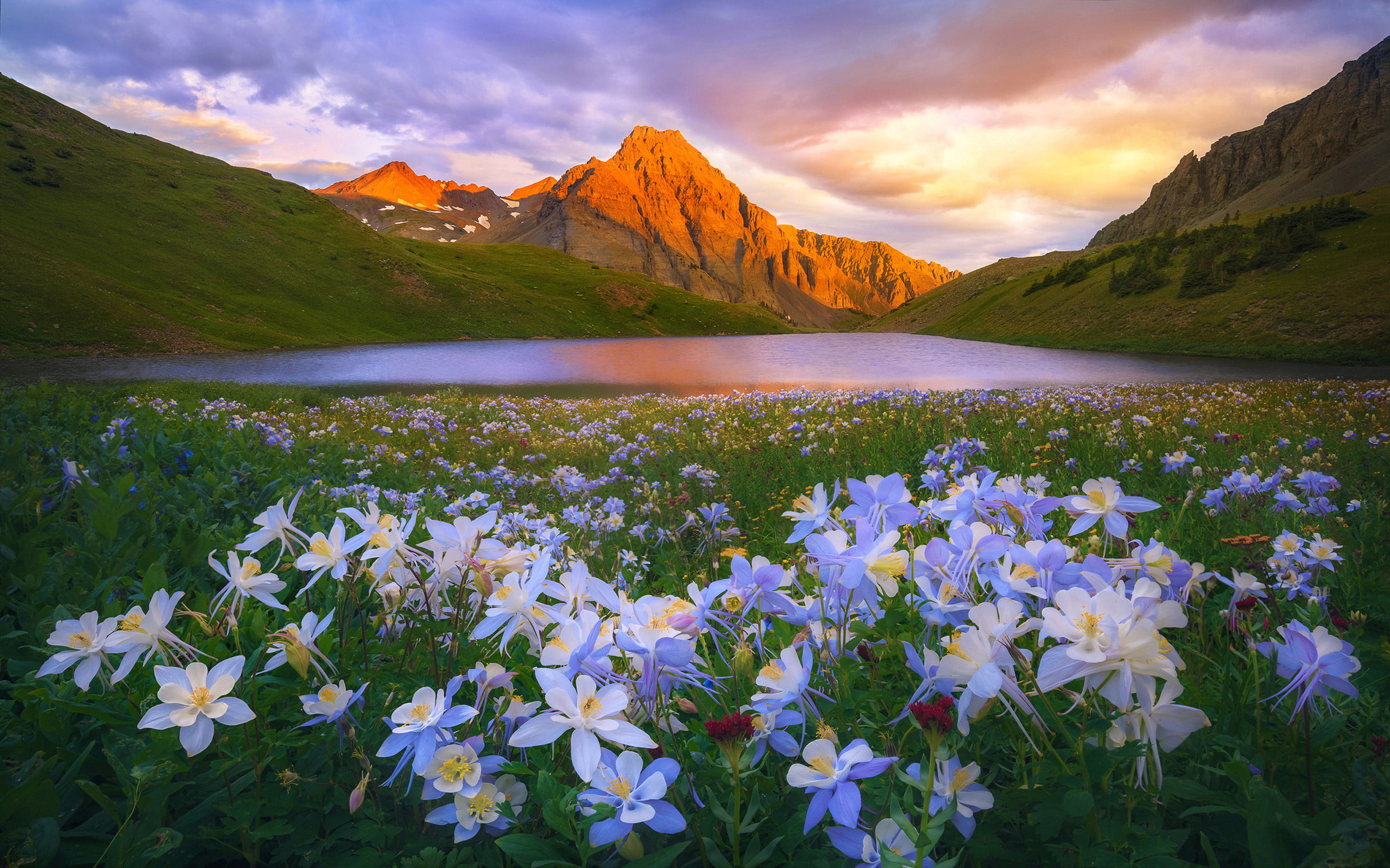 Island Lake Colorado San Juan Mountains Flowers Meadow Sunset Landscape Wallpaper Hd 2k
