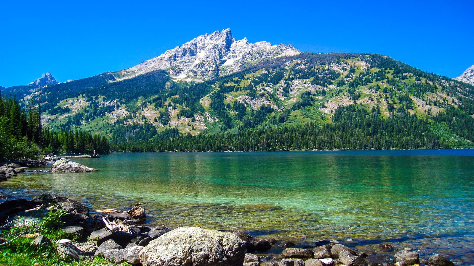 Landscape Nature Mountain Forest Lake Water Calm Stones Pine Trees Clear Sky 2k