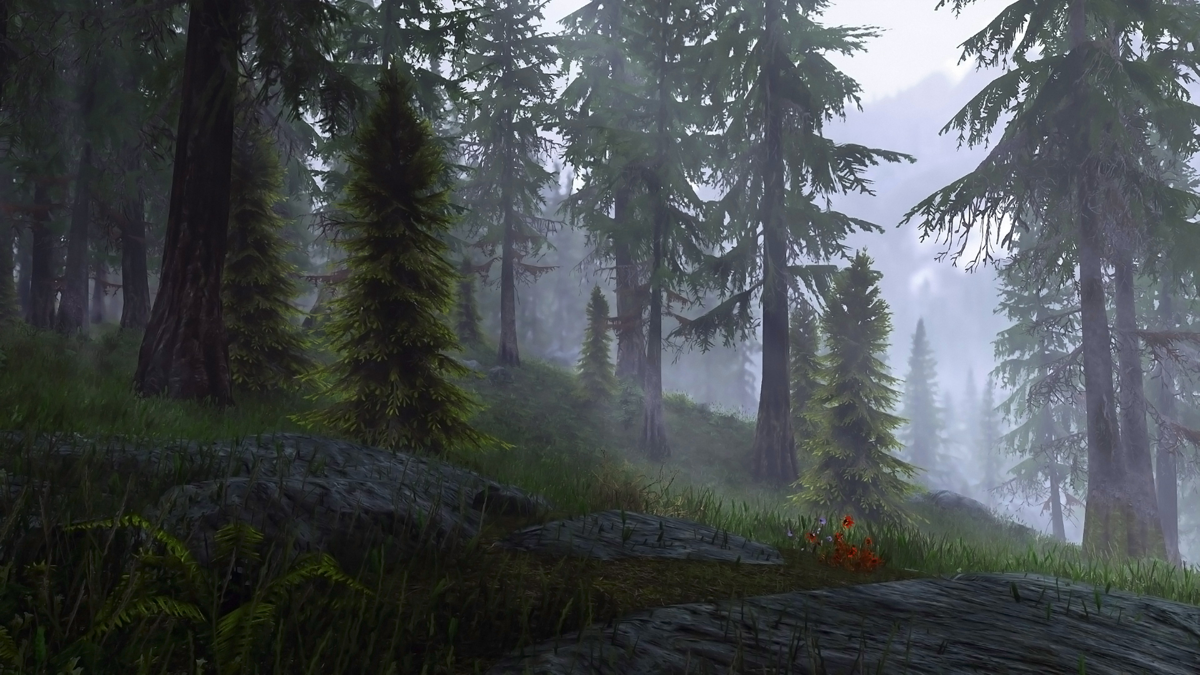 landscape screen shot nature video games The Elder Scrolls V Skyrim 2k 4k