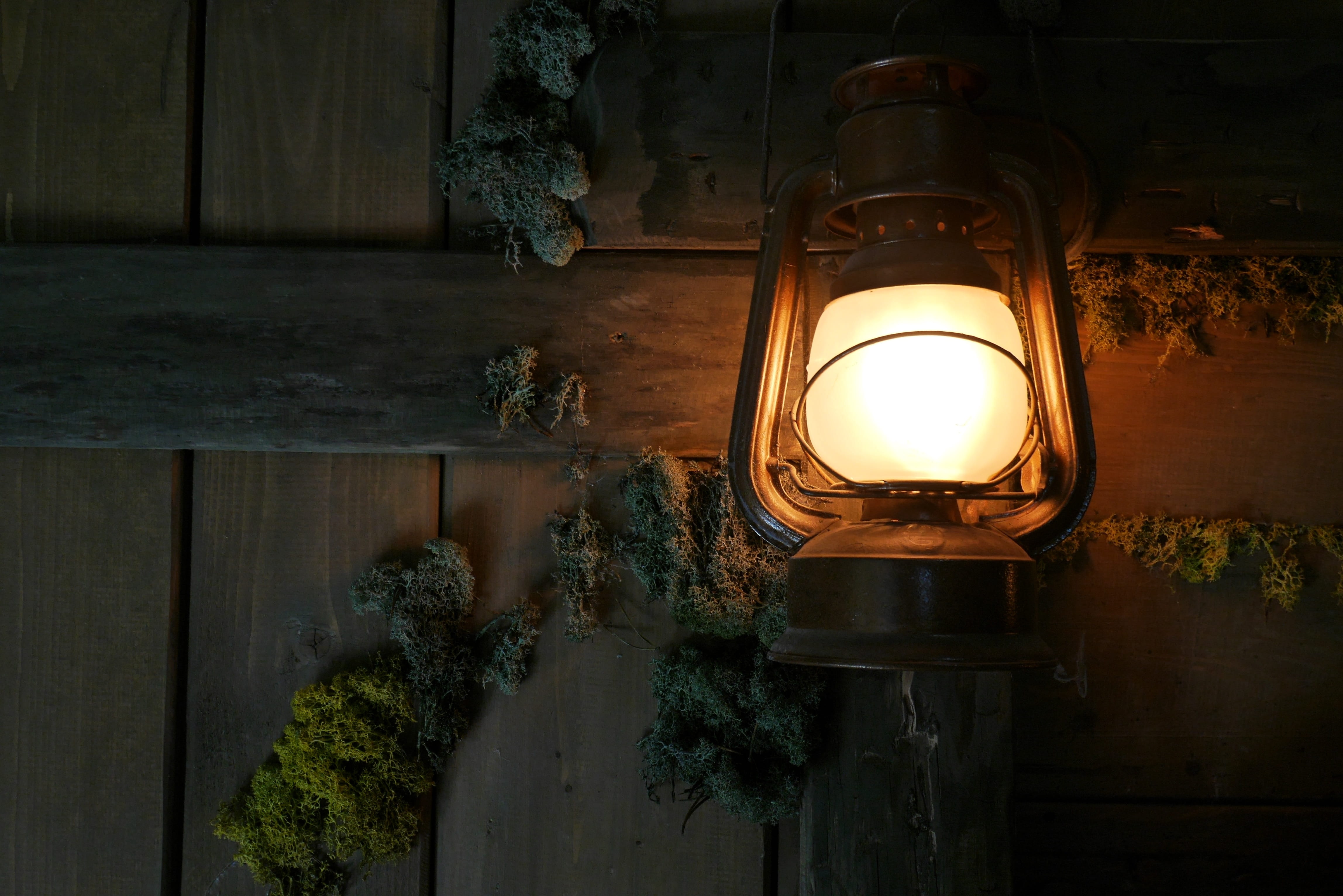 lantern wood plant lamp zen light nature vintage lighting 2k 4k 5k